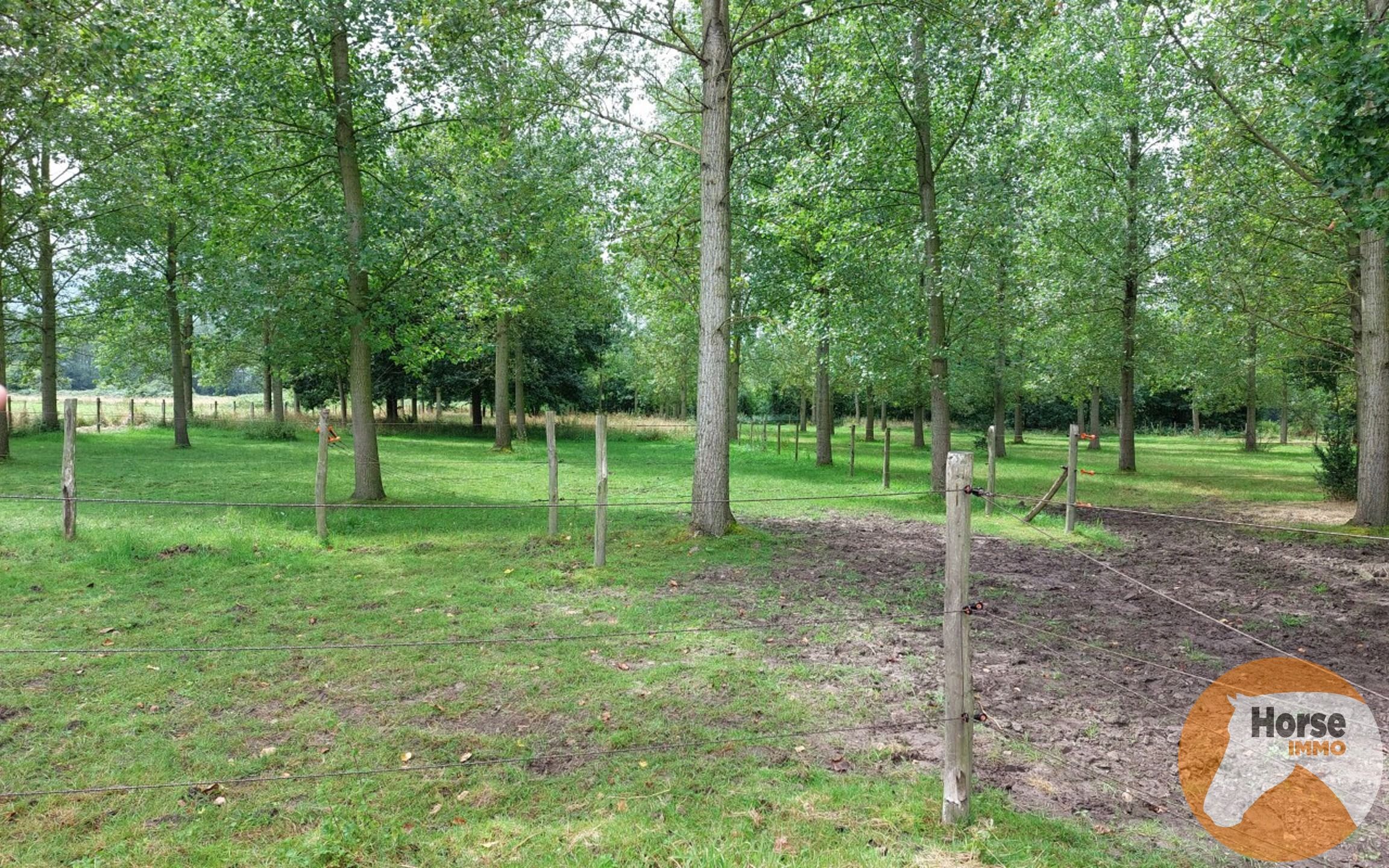 RUMMEN - Charmant landhuis op idyllische locatie op 1ha54 foto 5