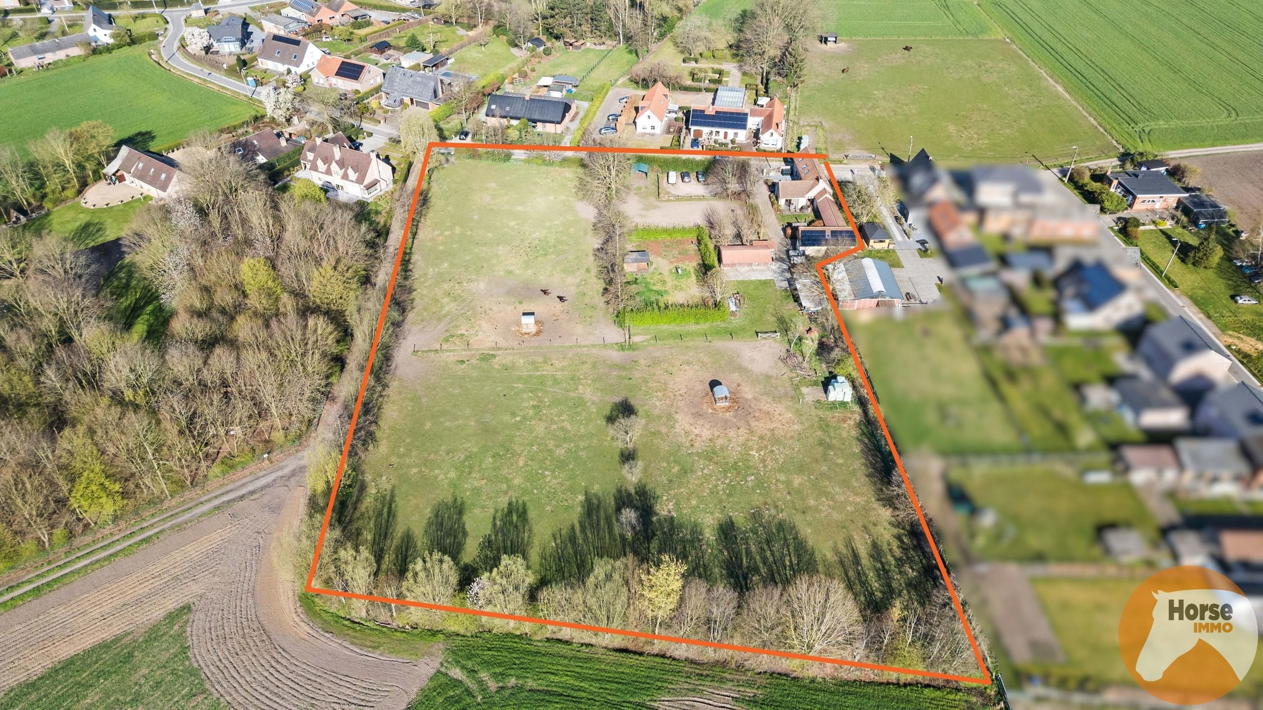 BERLARE - Instapklare woning met stallen en weides foto 3