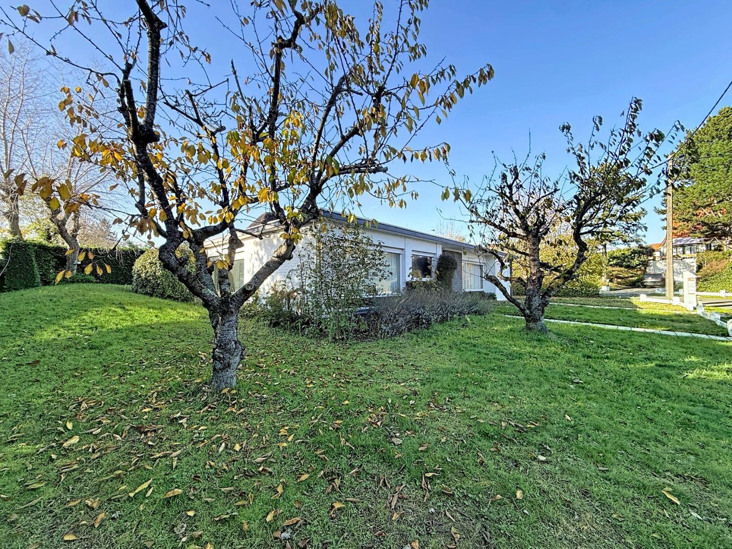 Te renoveren villa op toplocatie in de Simli-wijk Nieuwpoort-bad foto 2