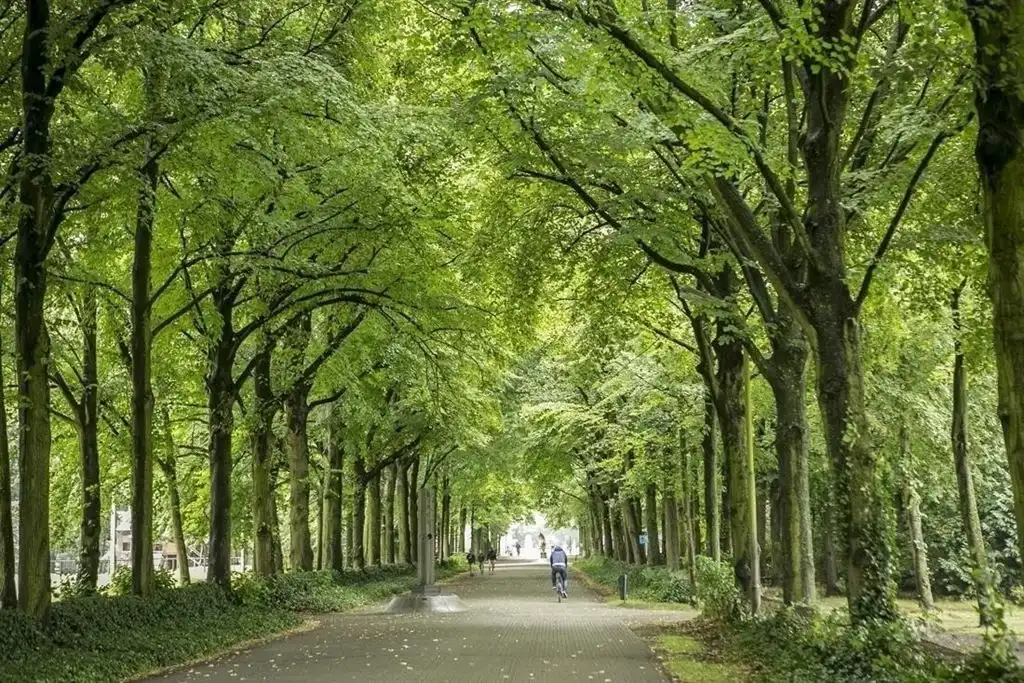 Instapklaar appartement met terrasje foto 20