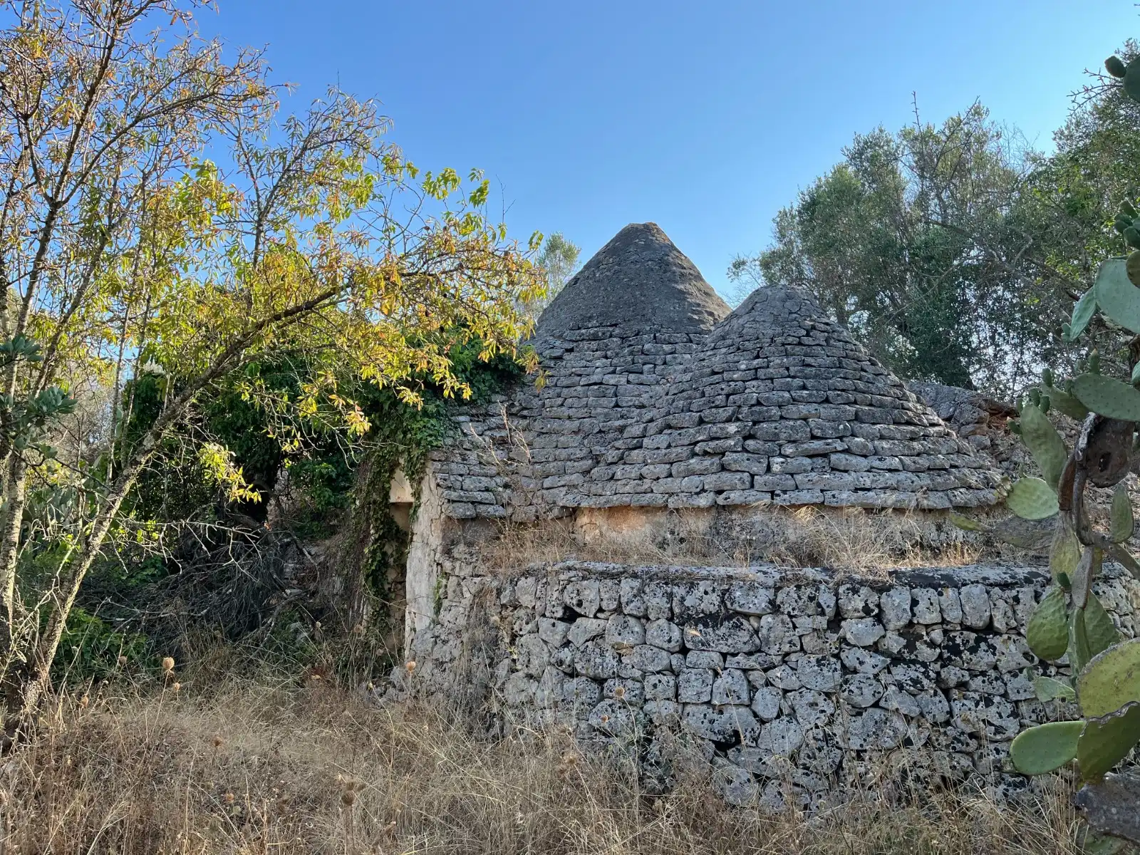 Twee fascinerende trulligroepen te koop in Puglia, Italia: An Italian Home away from Home foto 15