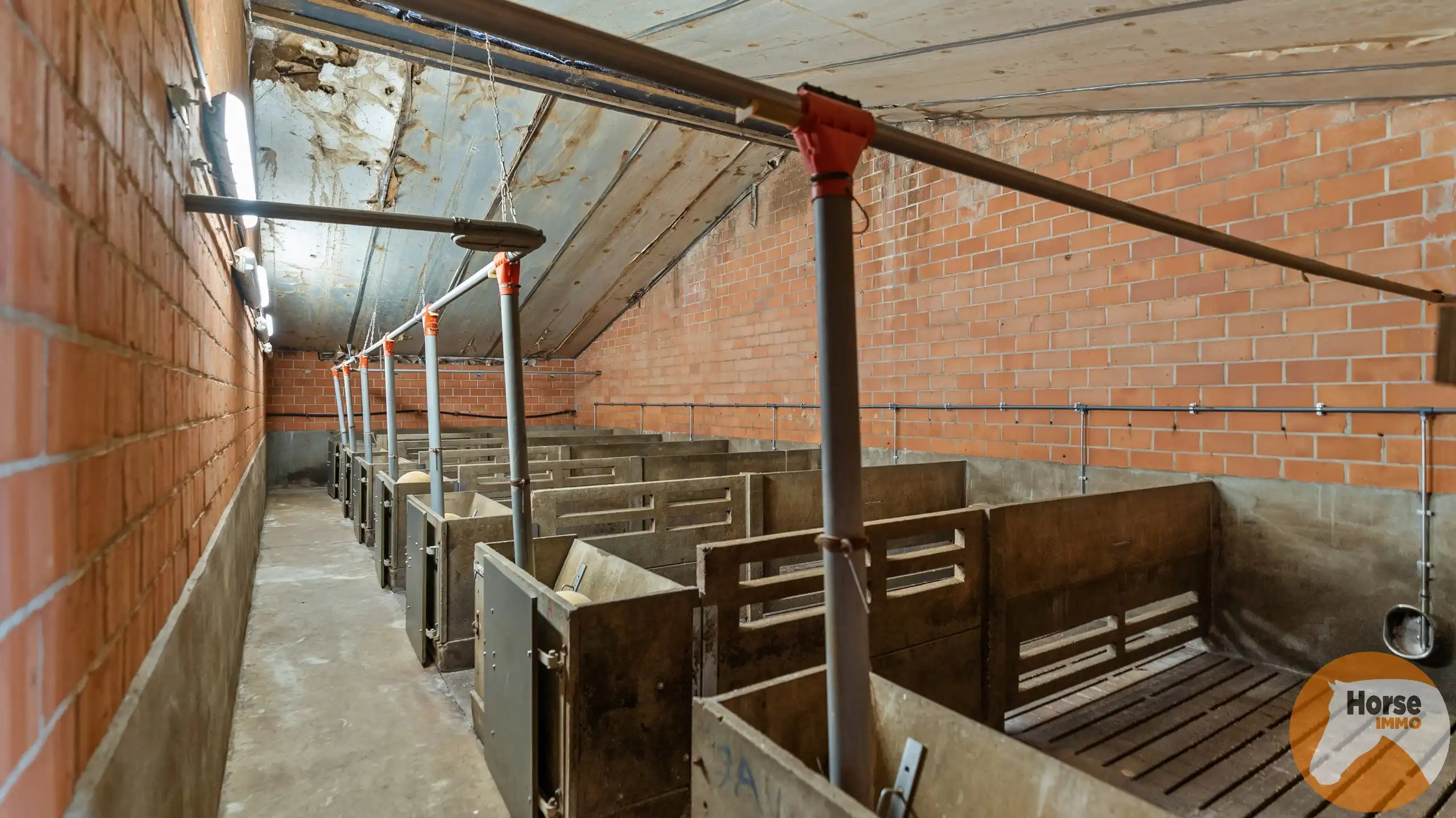 SCHAFFEN - Landbouwwoning op +/- 6,7 ha en paardenstalling foto 13