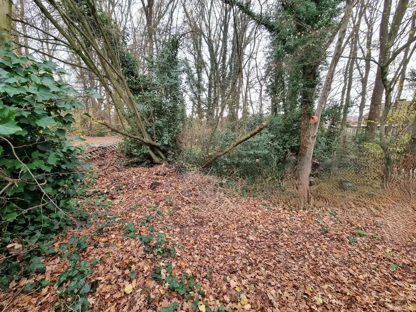 Verzorgde, instapklare woning te Hulshout, 3 slaapkamers, op een zuidgericht perceel van 14a35ca. foto 3