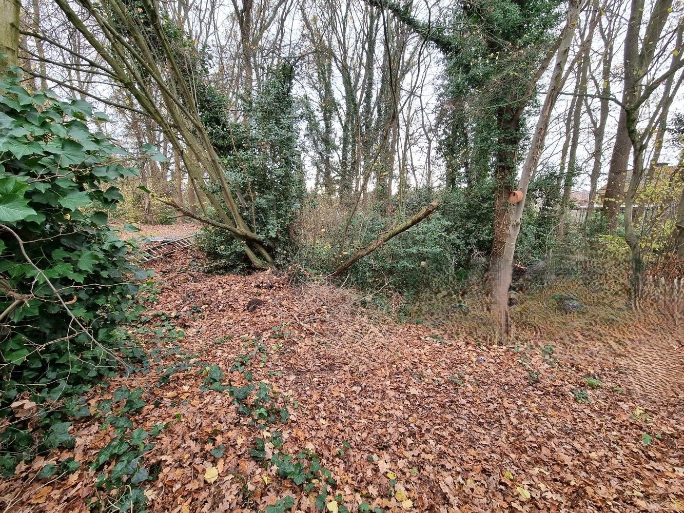 Verzorgde, instapklare woning te Hulshout, 3 slaapkamers, op een zuidgericht perceel van 14a35ca. foto 3