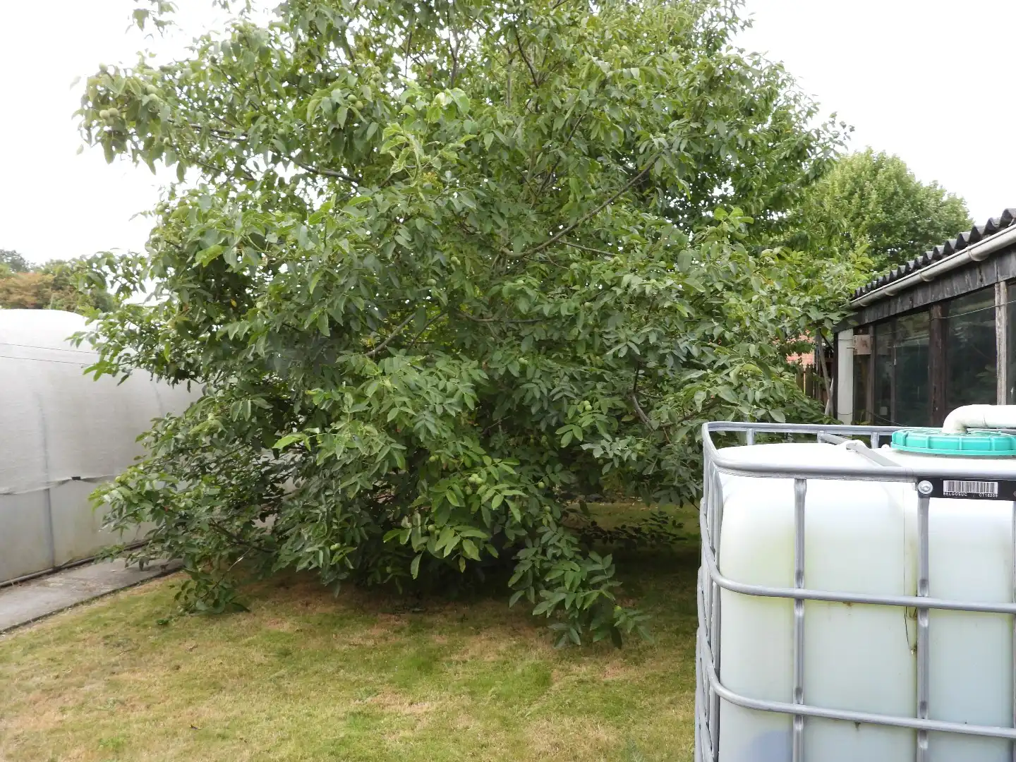 Woning te koop Hannefveldstraat 22 - 3510 Kermt foto 14