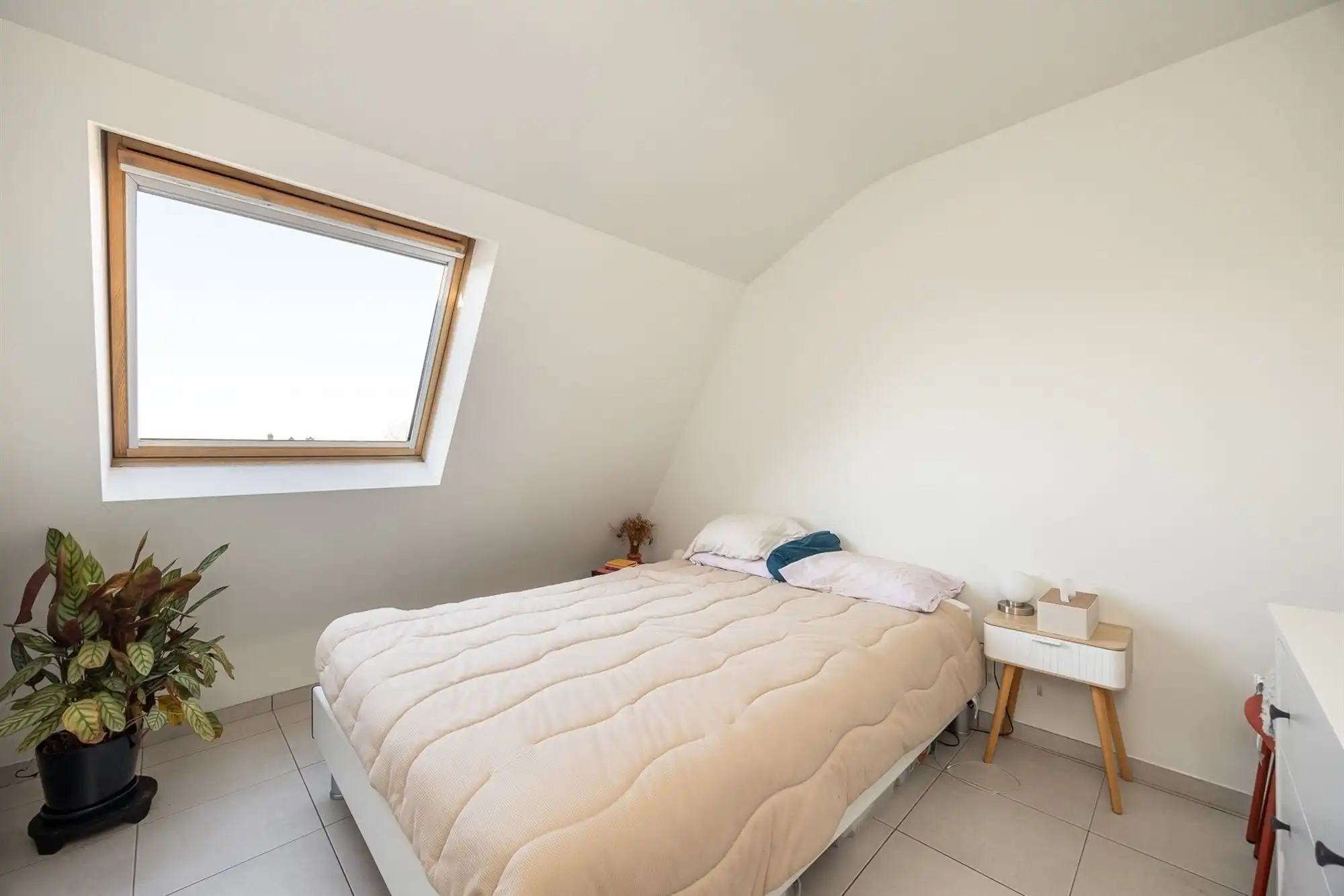 Appartement foto 10