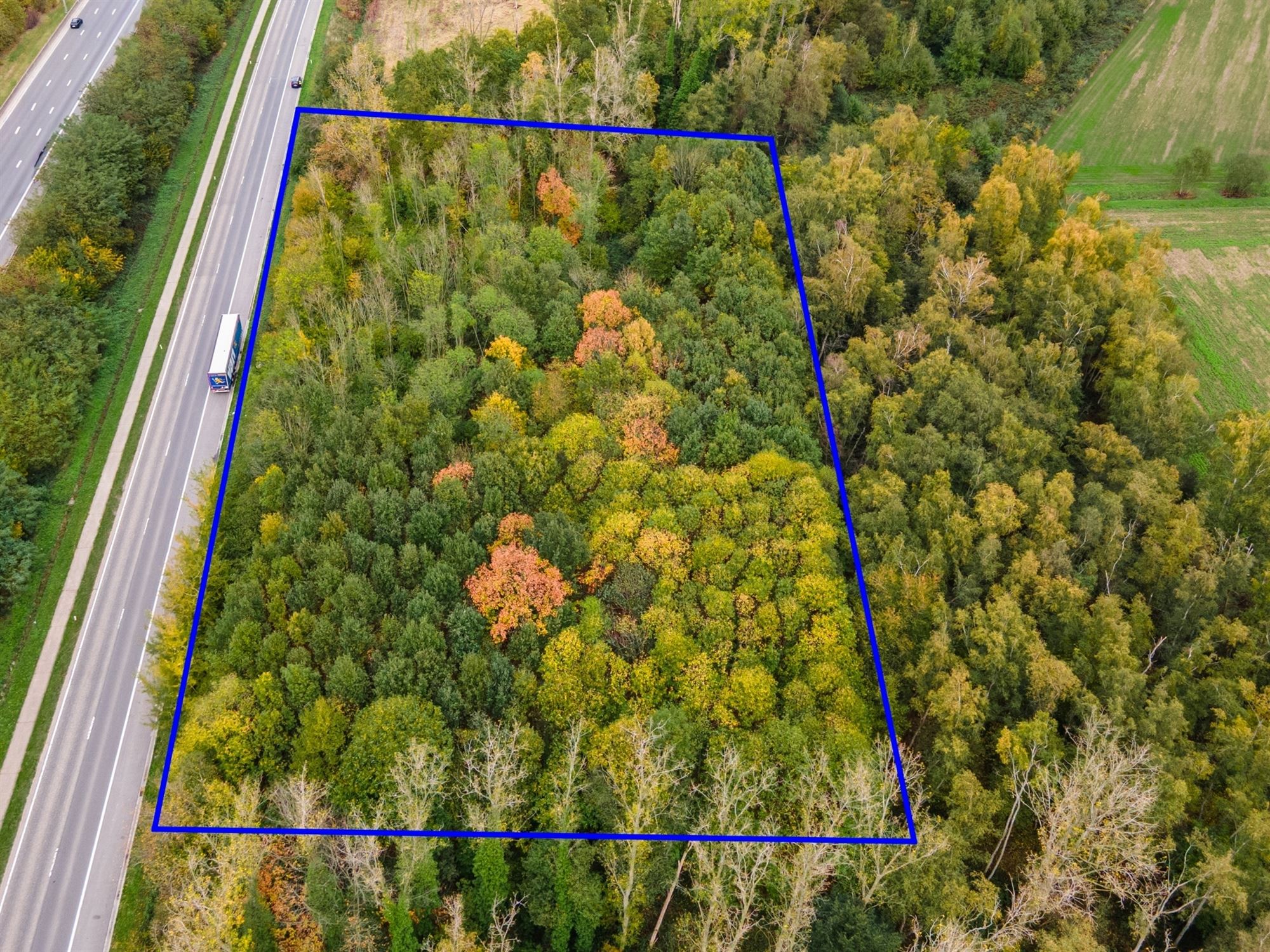 Prachtig perceel met bomen te Mechelen foto 4