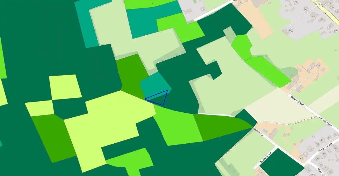 Bosgrond te koop – rust en natuur foto 5