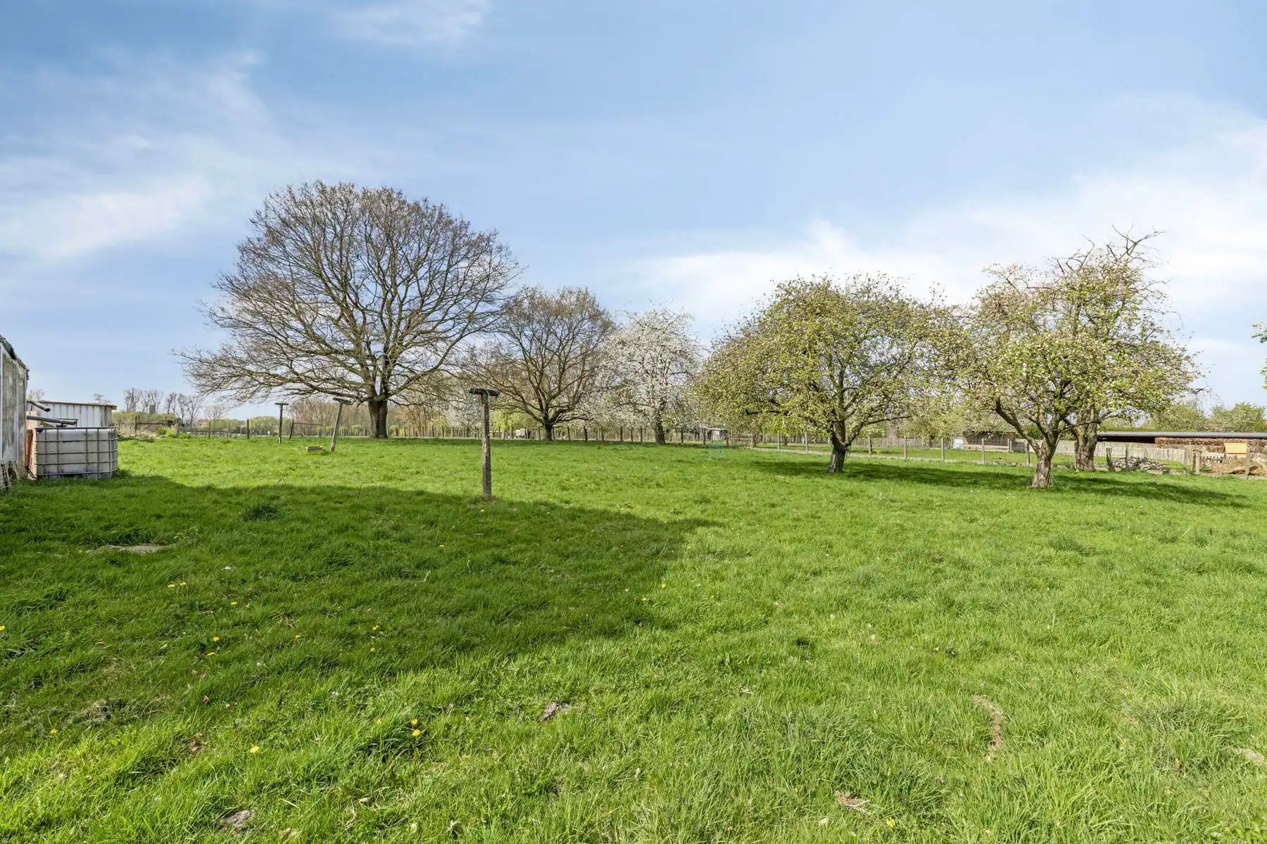 Boerderij te koop foto 15