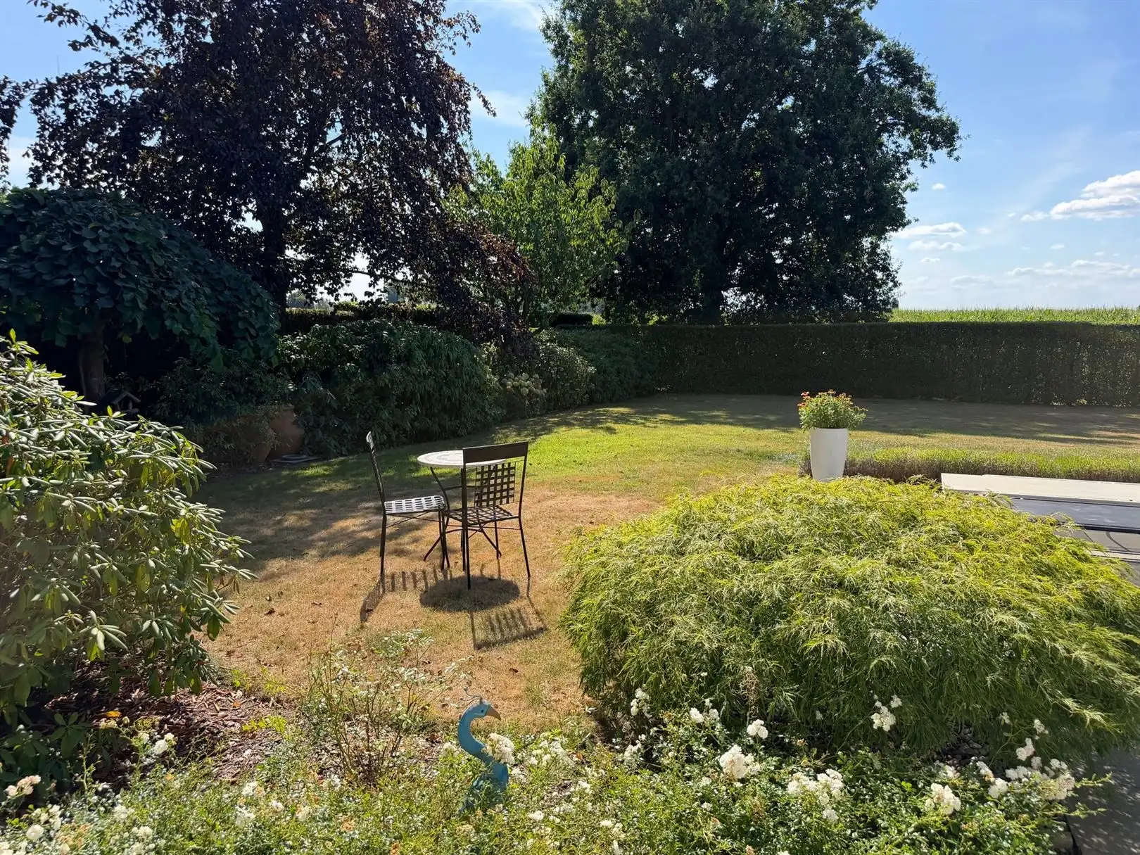 Huis foto 39