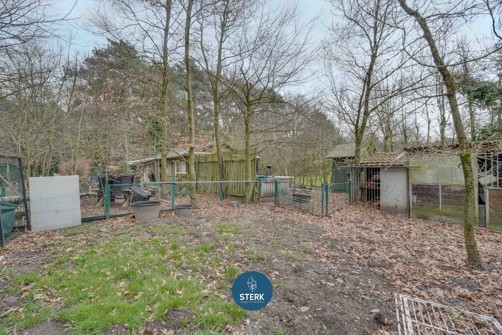 UNIEKE CHALET MIDDEN IN HET BOS VAN ZUTENDAAL !  foto 14