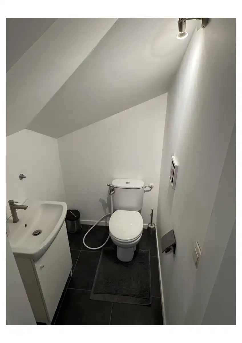 Gerenoveerd en energiezuinig duplex-appartement met parkings foto 24