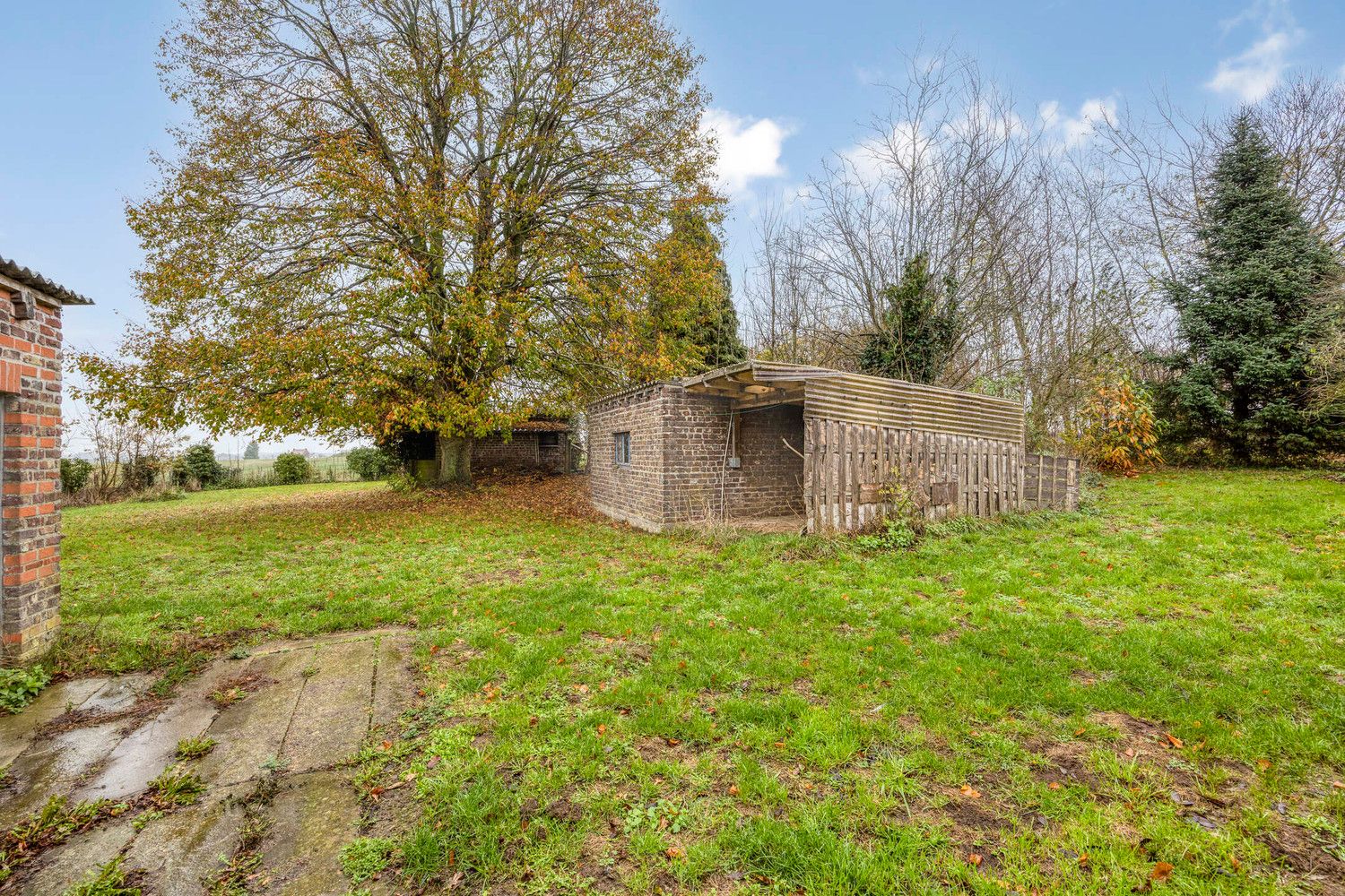 IDYLLISCH GELEGEN WONING TE BEKKEVOORT - RUST EN RUIMTE AAN HET KONINGSBOS foto 36