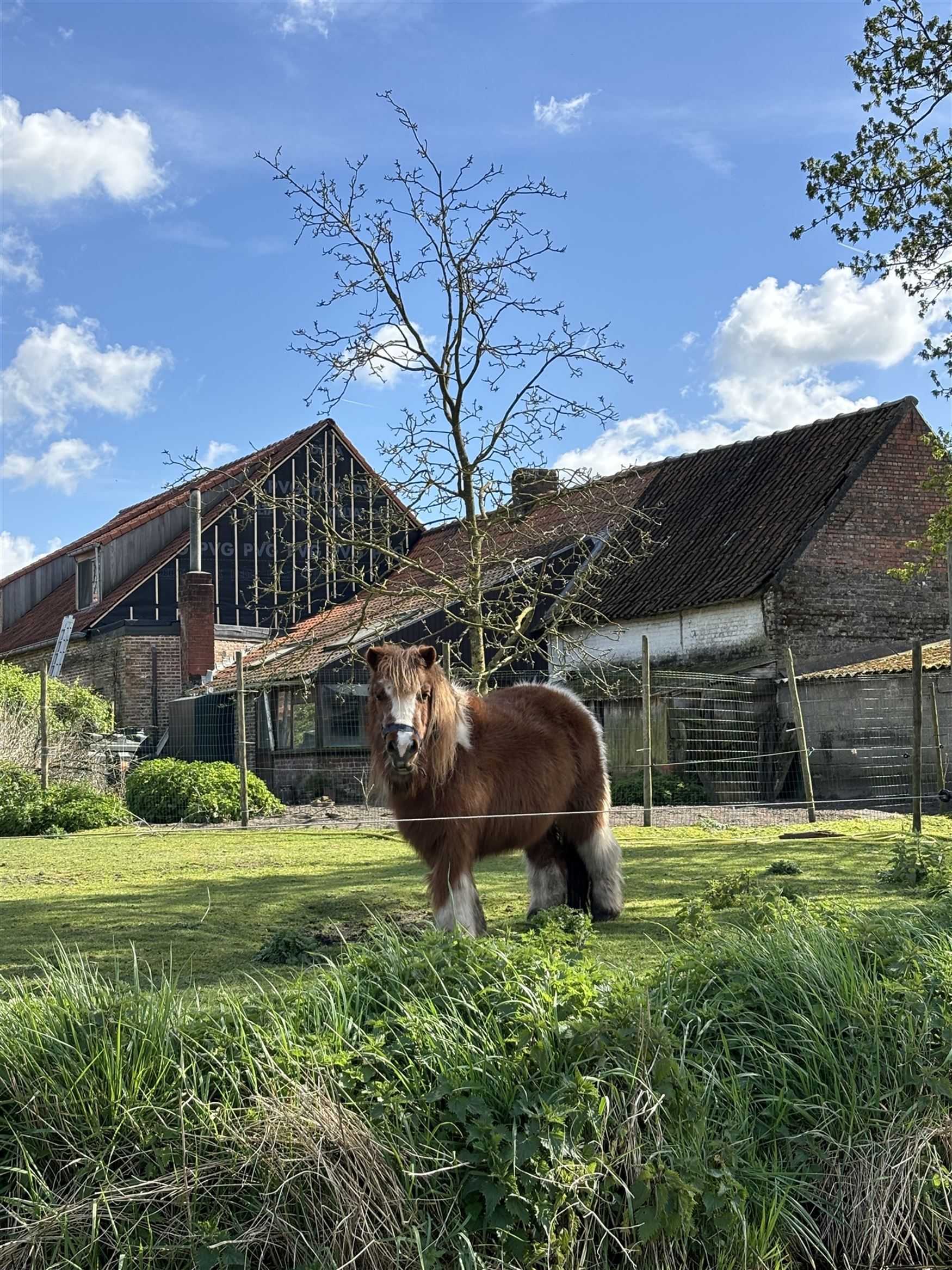 Moderne nieuwbouwvilla (oplevering 2025) foto 6