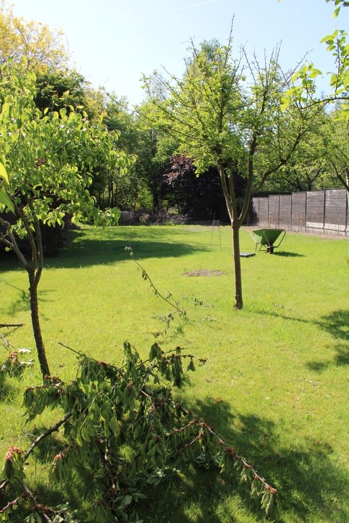 Zeer mooie bouwgrond op gunstige ligging foto 5