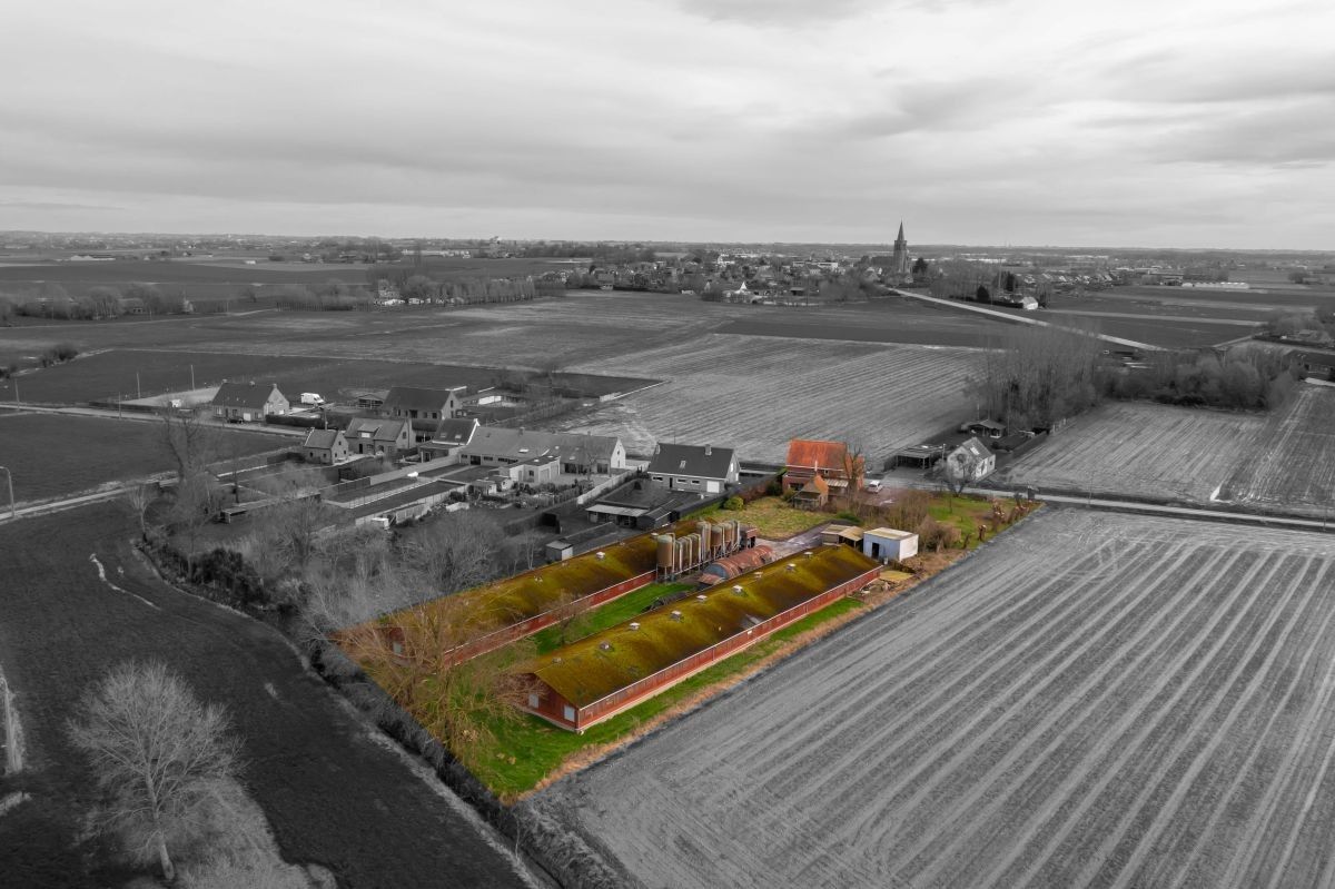 Hoeve te koop met vergunde functiewijziging te Diksmuide foto 12