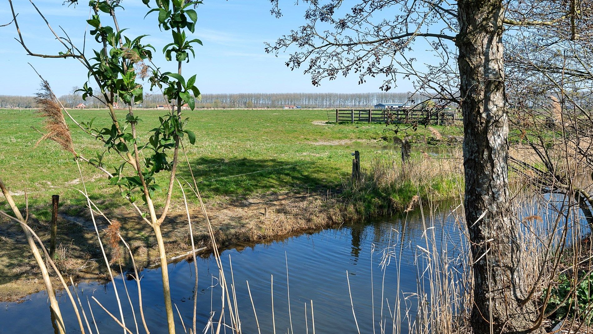 Te renoveren hofstede op toplocatie te Damme foto 10