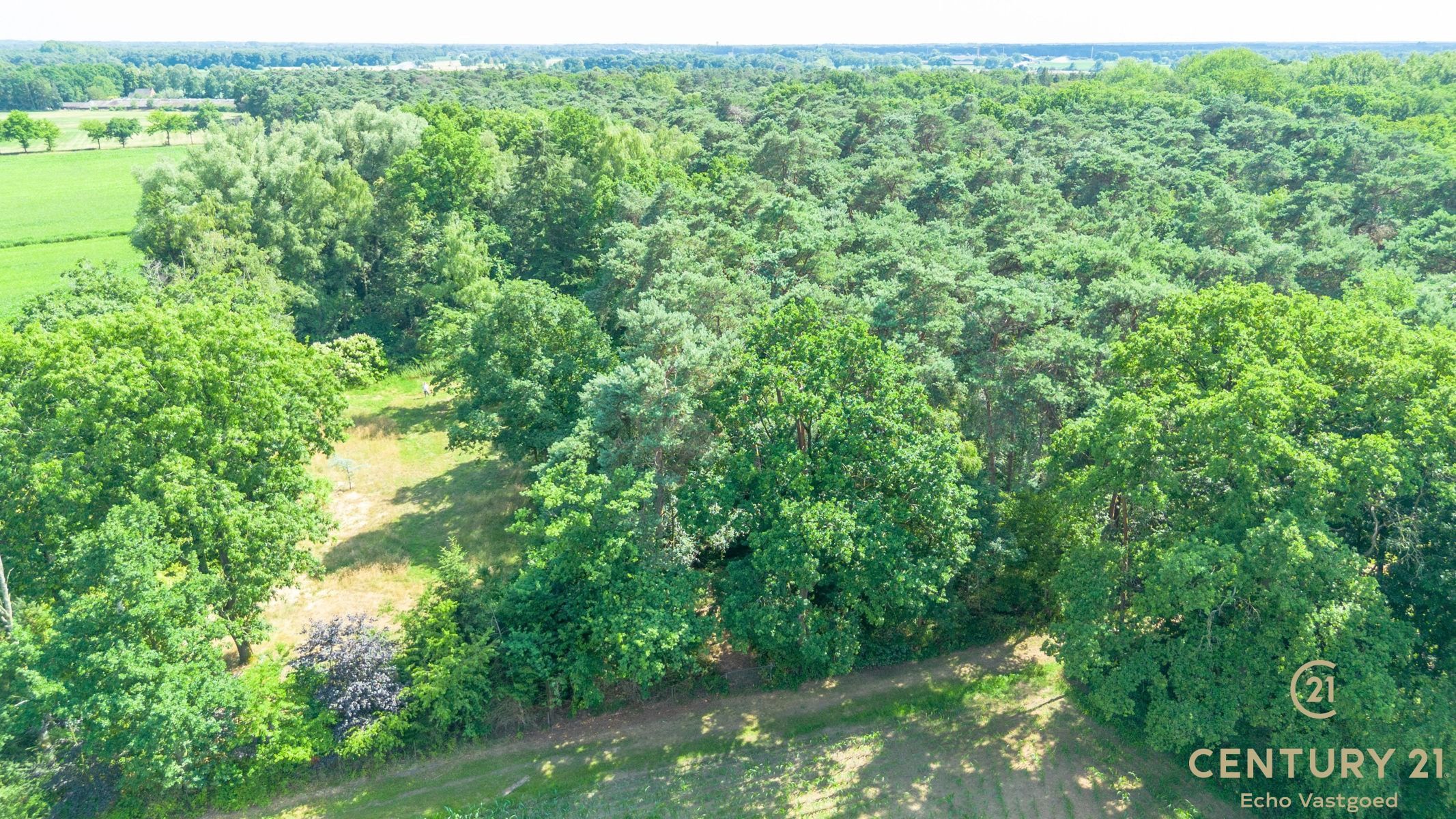 Volledig te renoveren vakantiechalet op een royaal perceel foto 20