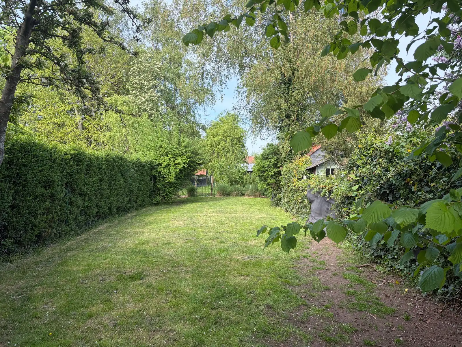 Gezinswoning met 3 slaapkamers foto 12