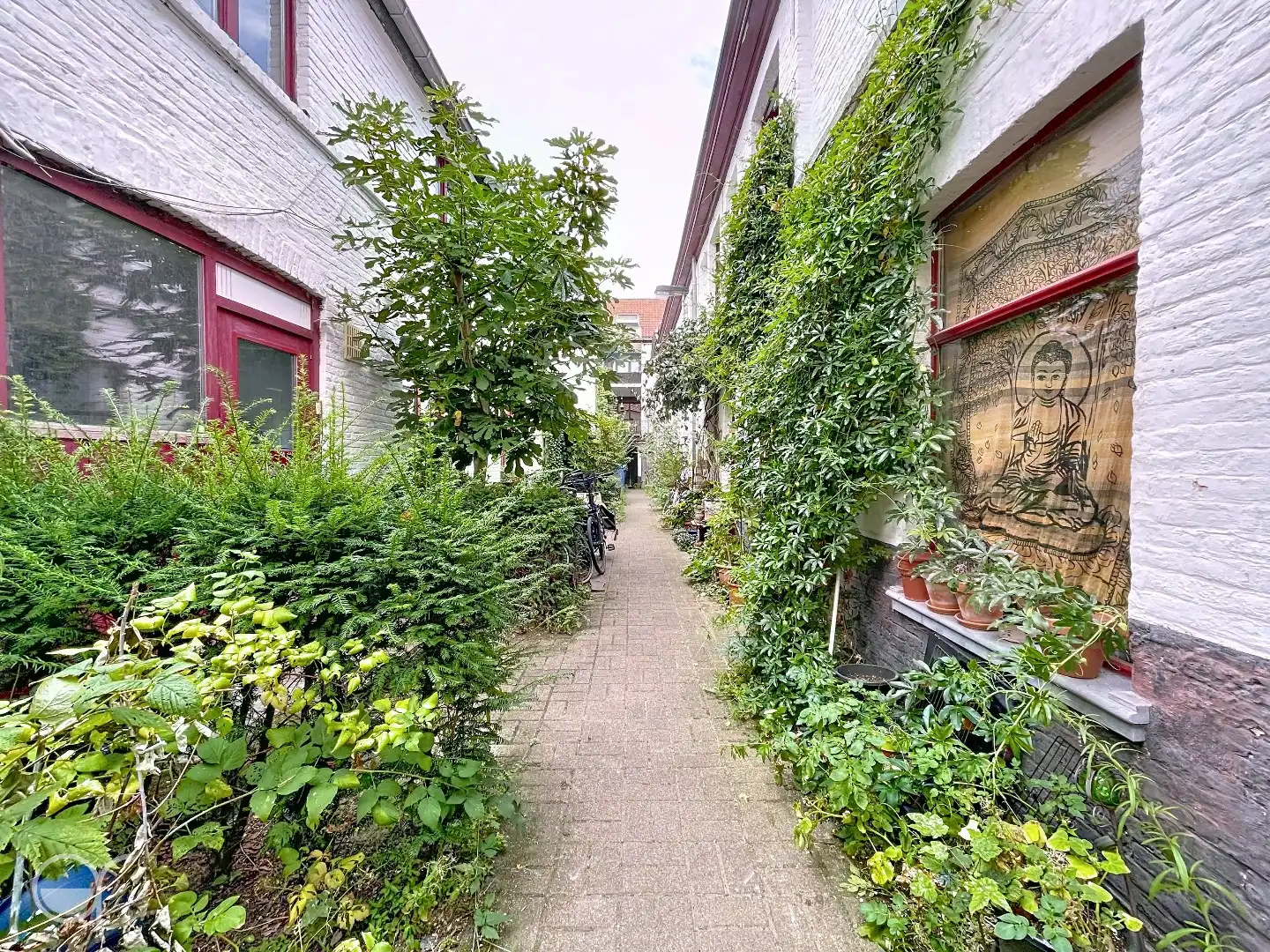 Studio vlakbij de coupure foto 7