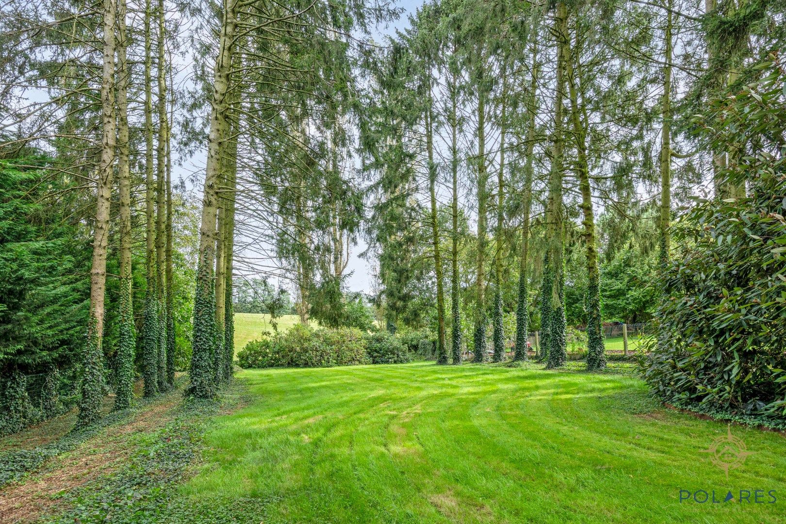 FANTASTISCH gelegen vrijstaande villa met 5 slaapkamers foto 31