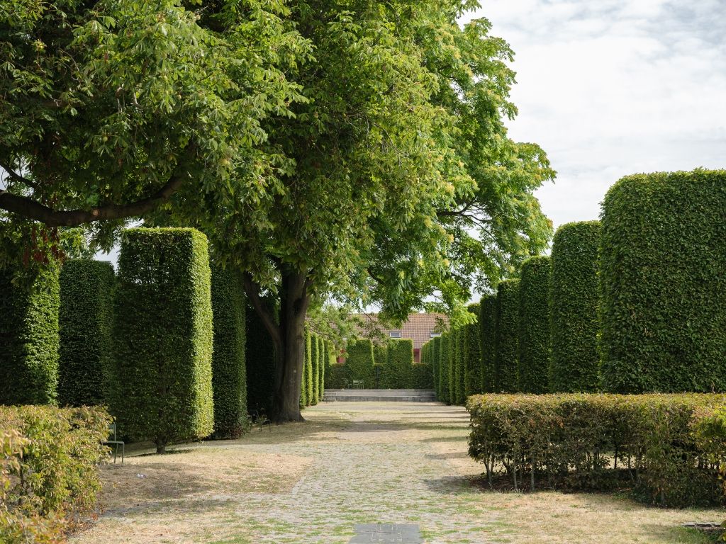 Ruim 2-slaapkamerappartement met zonnig terras in de Sint-Machariuswijk foto 12
