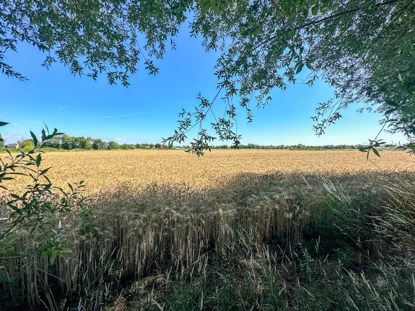 Te renoveren hoeve op unieke ligging in Torhout, vlak bij Groenhovebos foto 16
