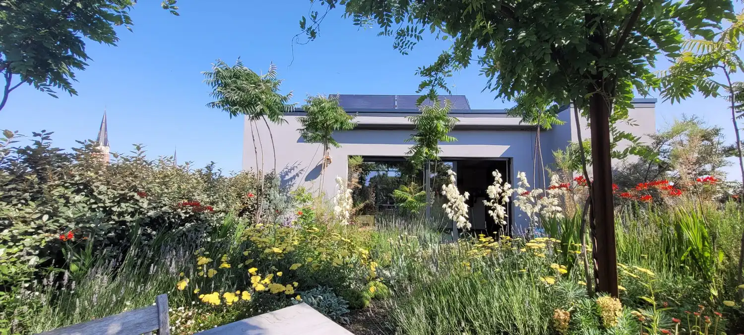 Uitzonderlijke loft 200m² + aangelegde daktuin, terras en 2 optionele garages in rustig, groen woonerf op de grens Borgerhout/Antwerpen foto 39