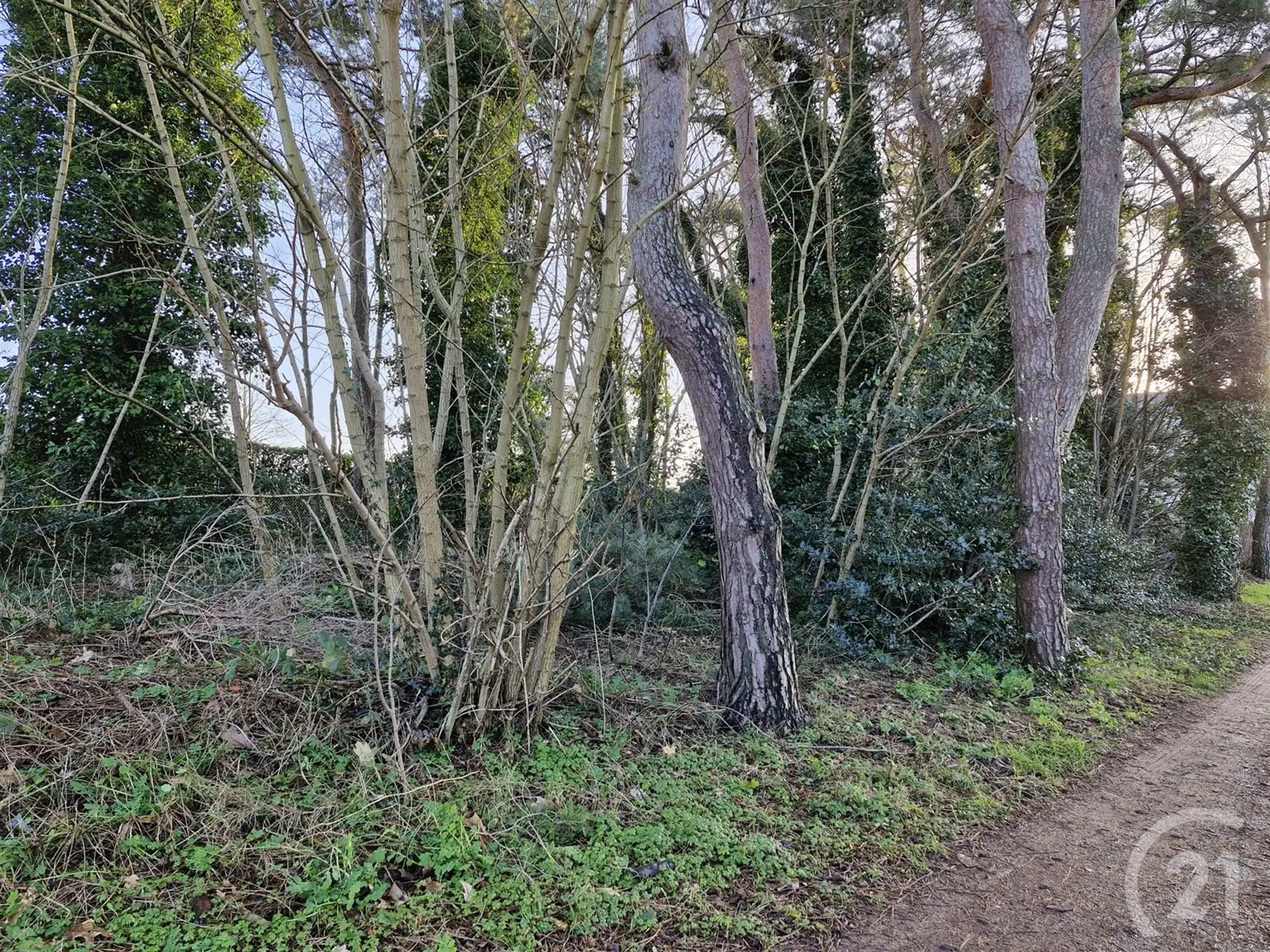 Bouwgrond te koop in Tremelo! foto 3