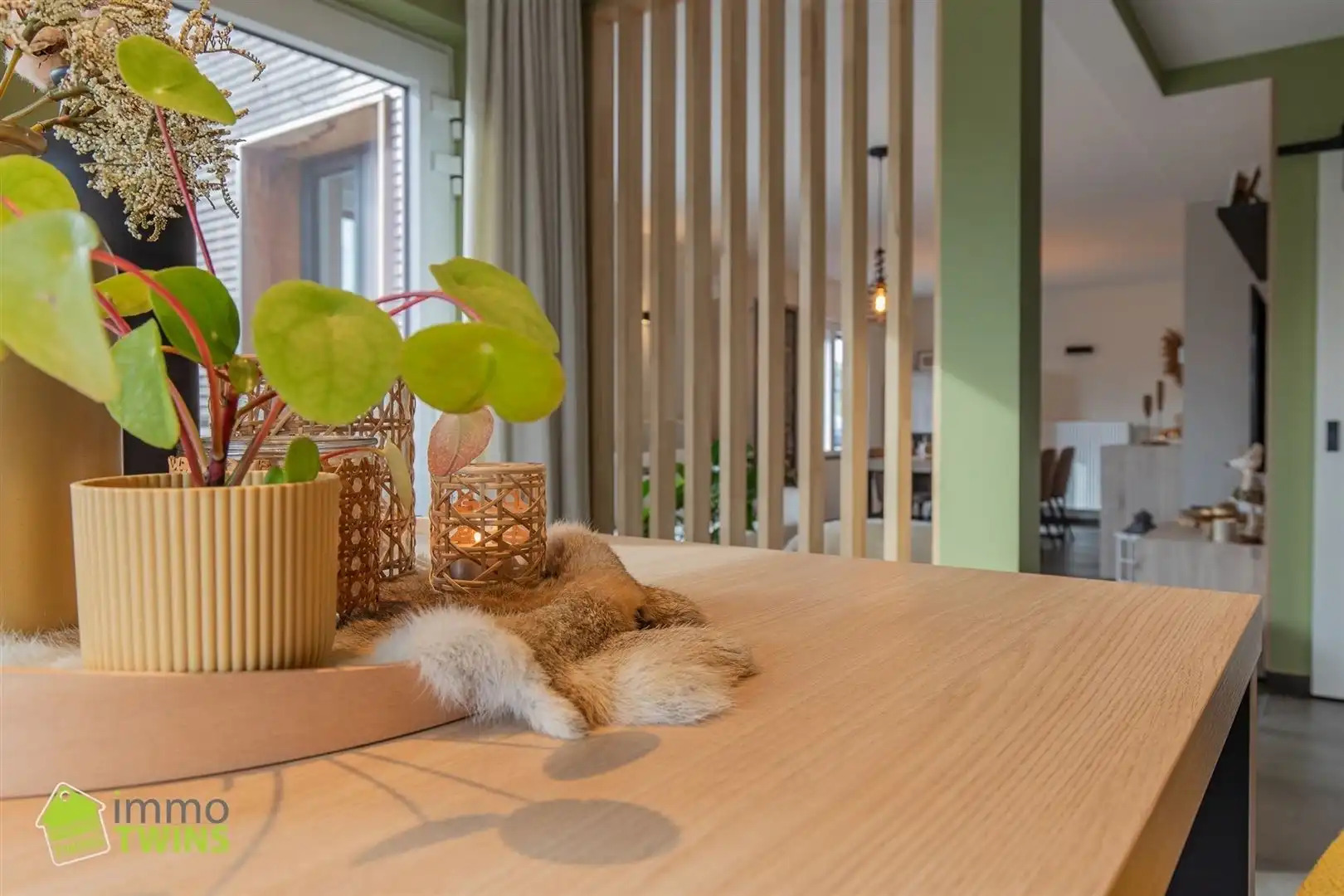 Instapklare en stijlvolle HOB met bijgebouw, tuin en visvijver te Dendermonde (Schoonaarde) foto 7