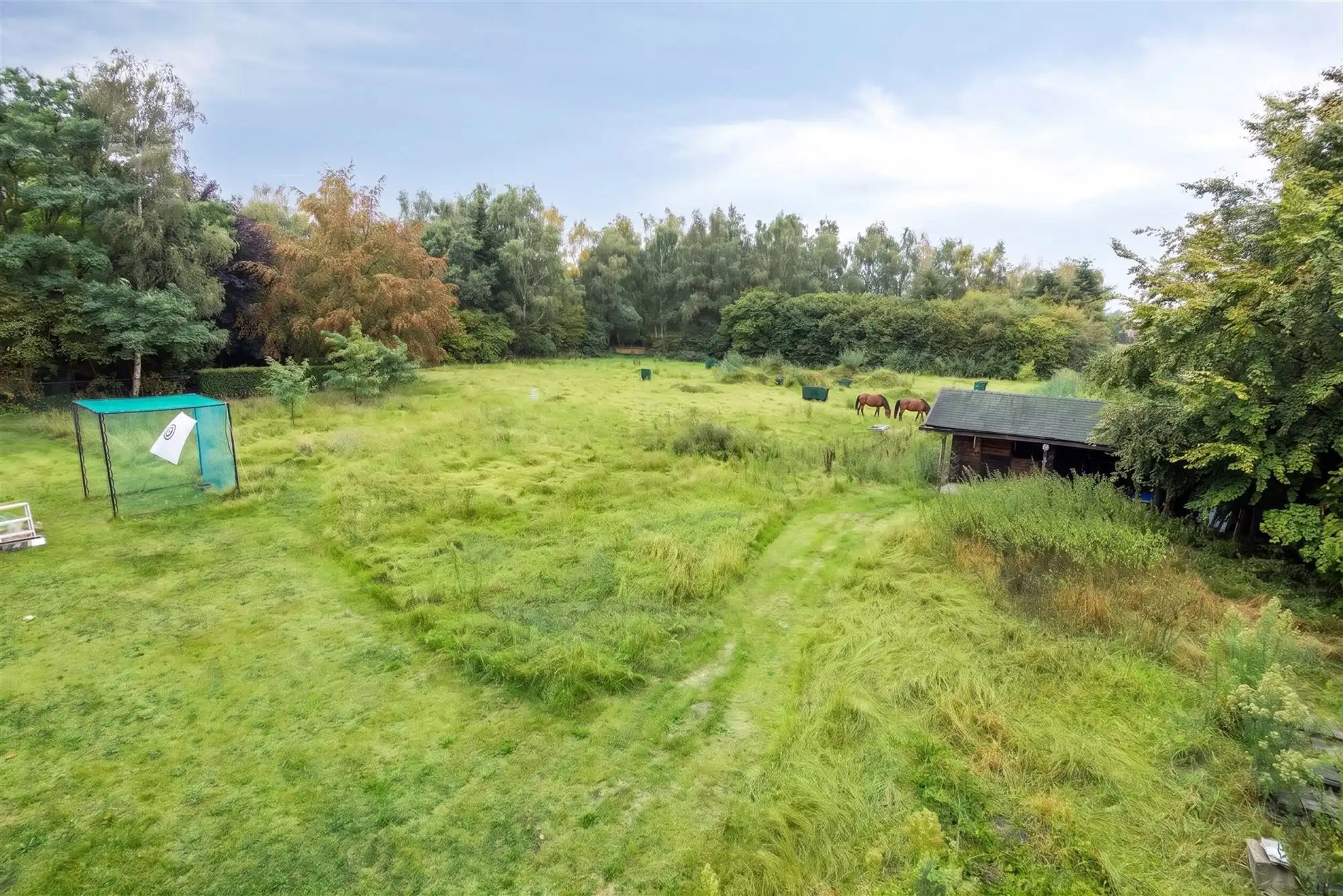 Knappe duo-villa op 8.843 m² in villawijk aan NL-grens. foto 81