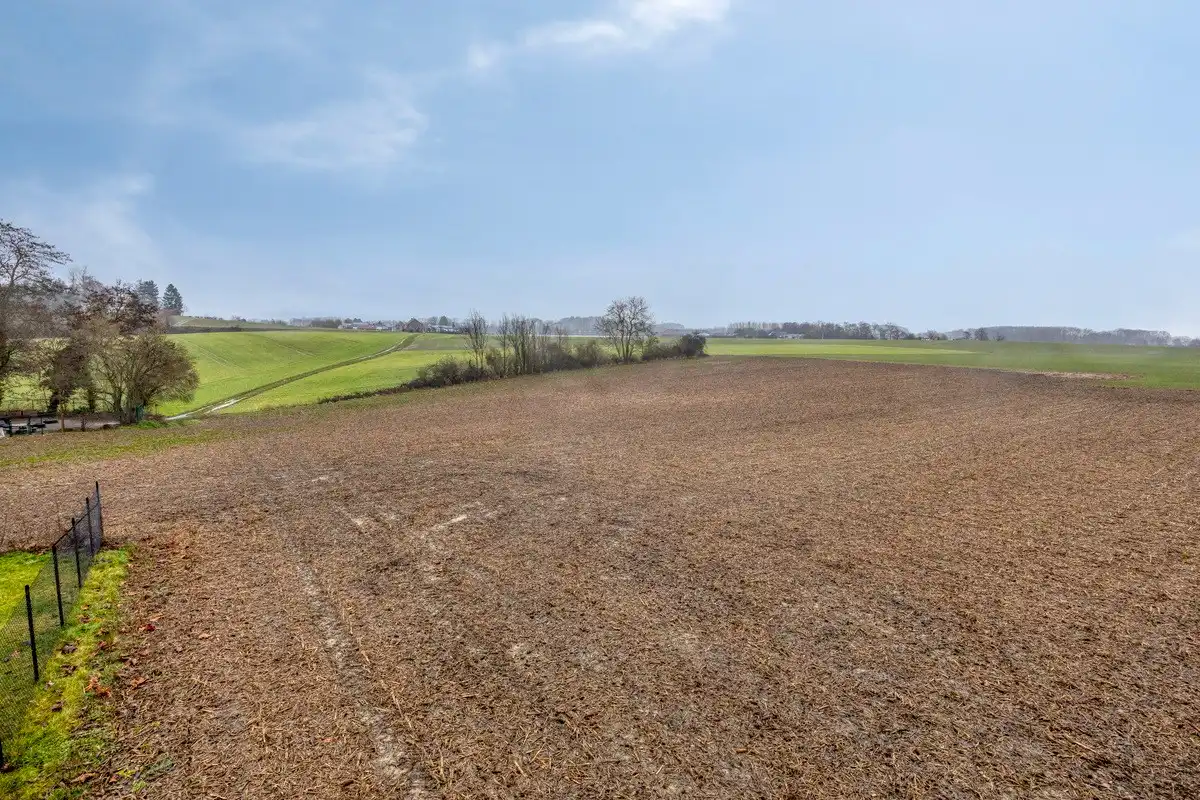 Landbouwgrond vrij van pacht in Bierbeek op een perceel van 1ha  foto 11