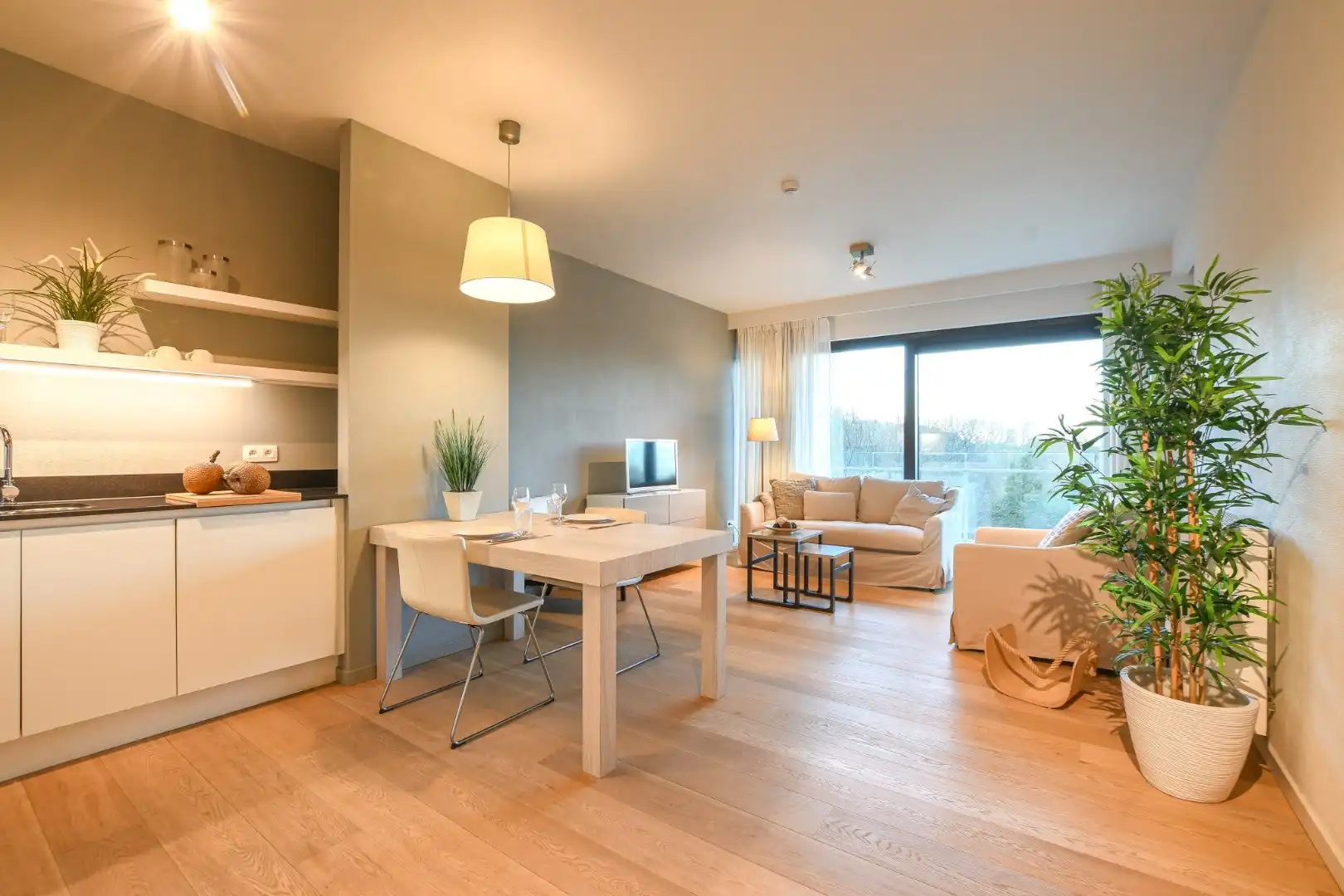  Te koop: Assistentiewoning in Zilverduin De Haan, Vosseslag foto 9