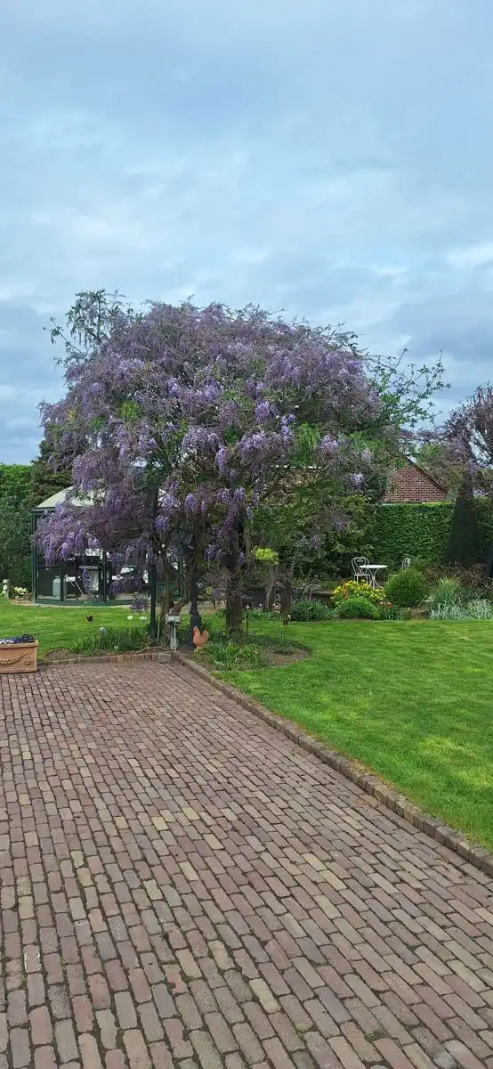 Huis te koop foto 43