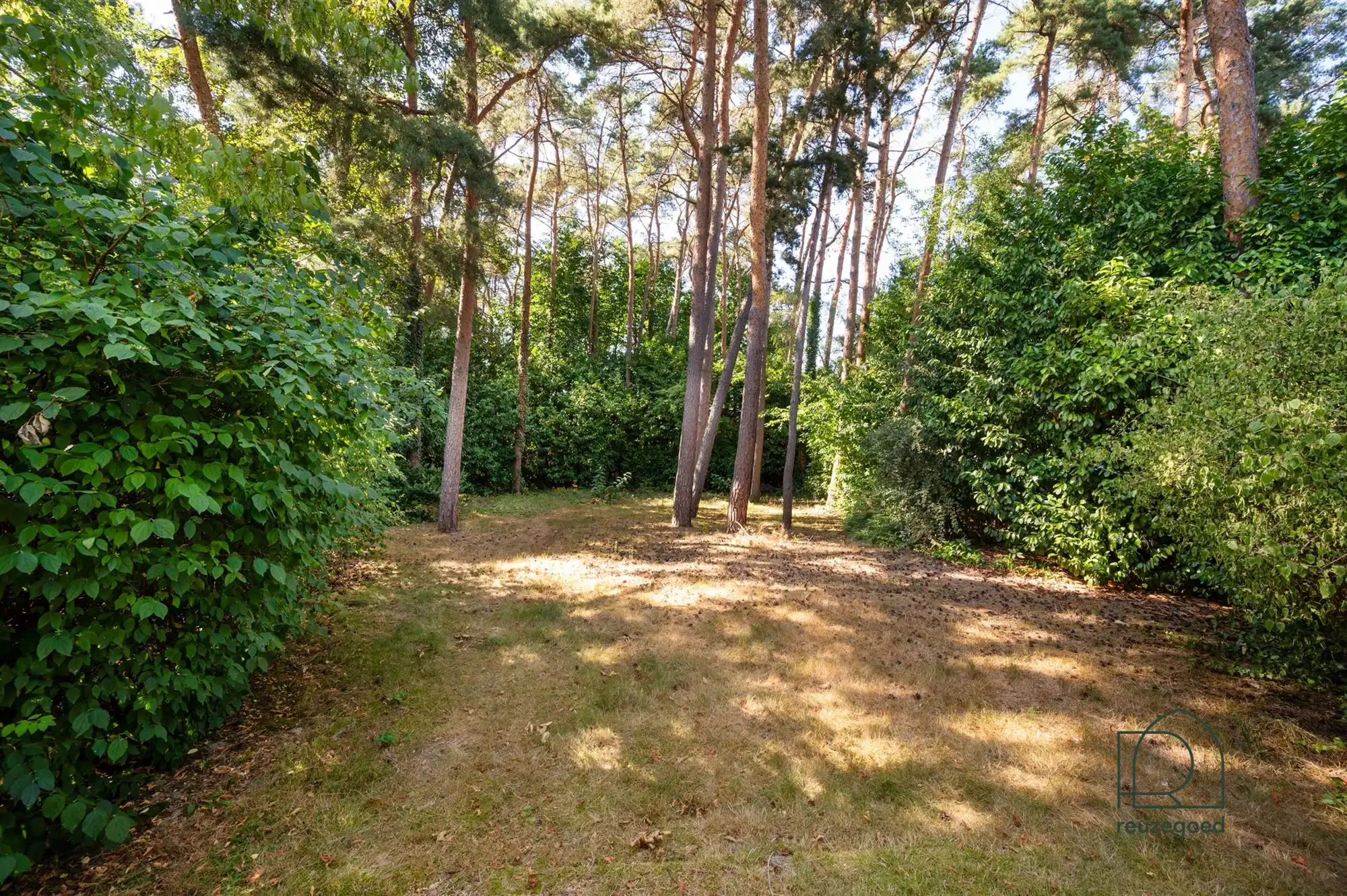 Charmante gerenoveerde open bebouwing op een prachtig perceel foto 21
