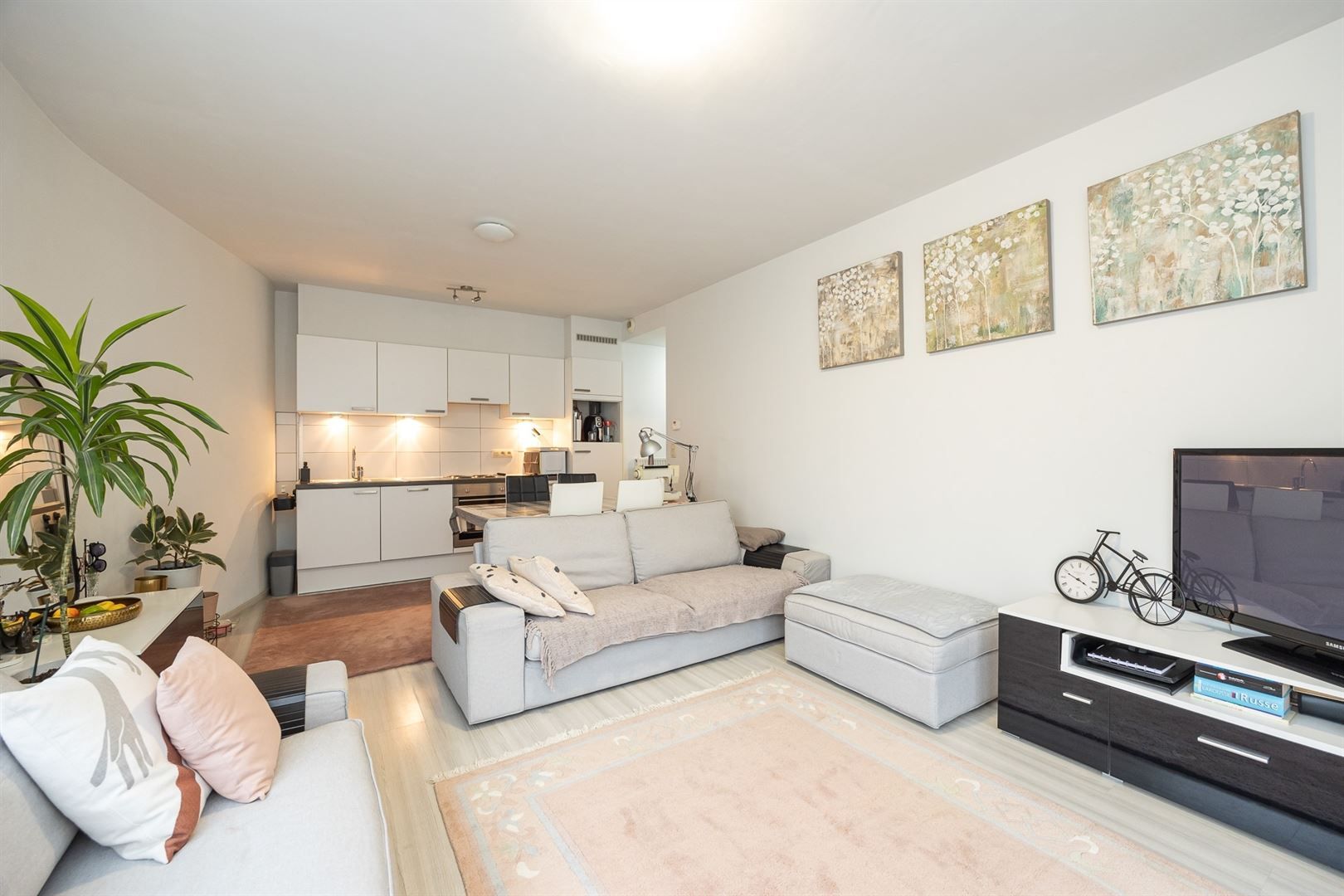 Centraal gelegen 1 slaapkamer hoekappartement  foto 3