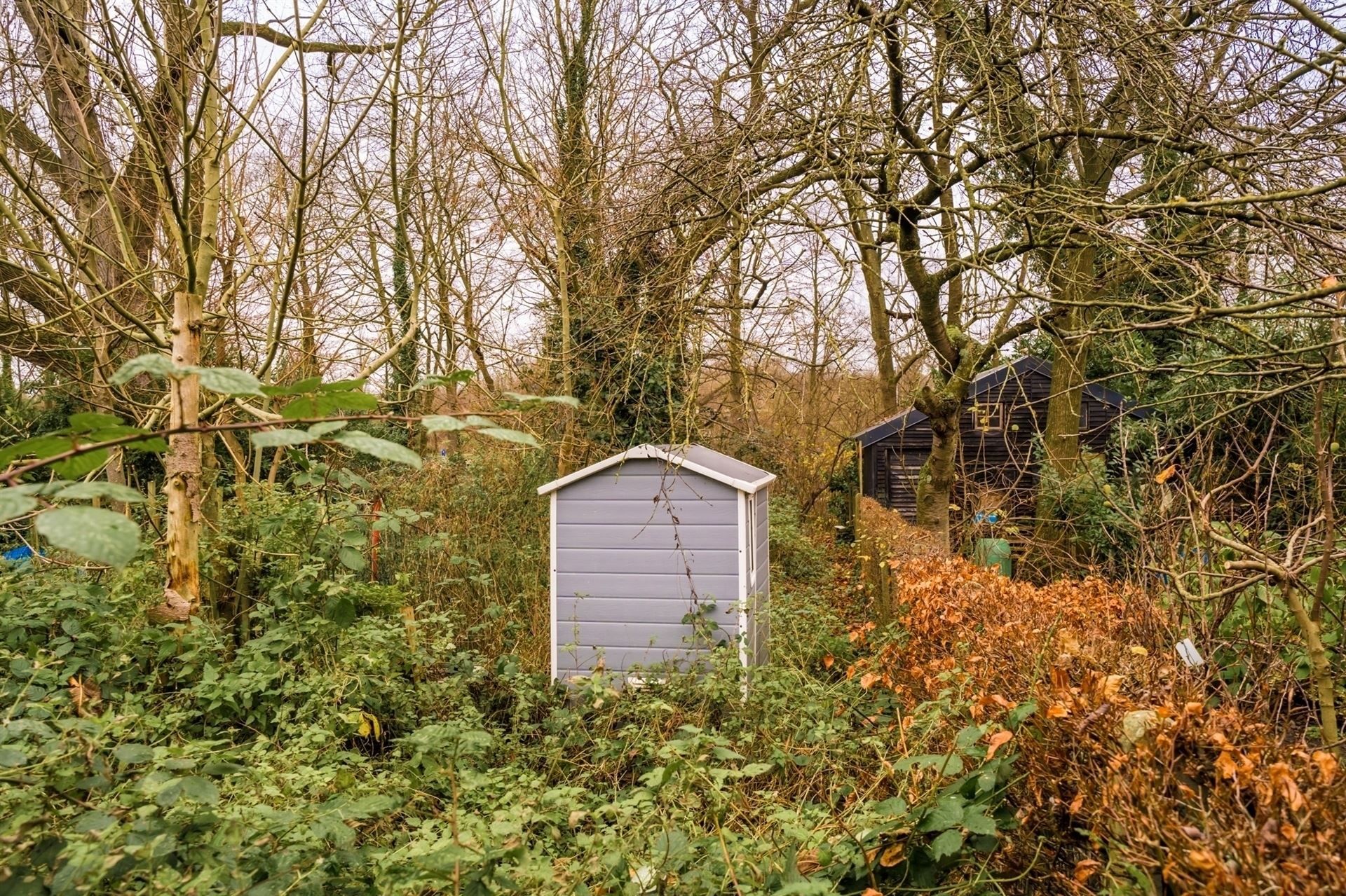 Woning met 3/4 slpks aan het Vrijbroekpark! foto 16