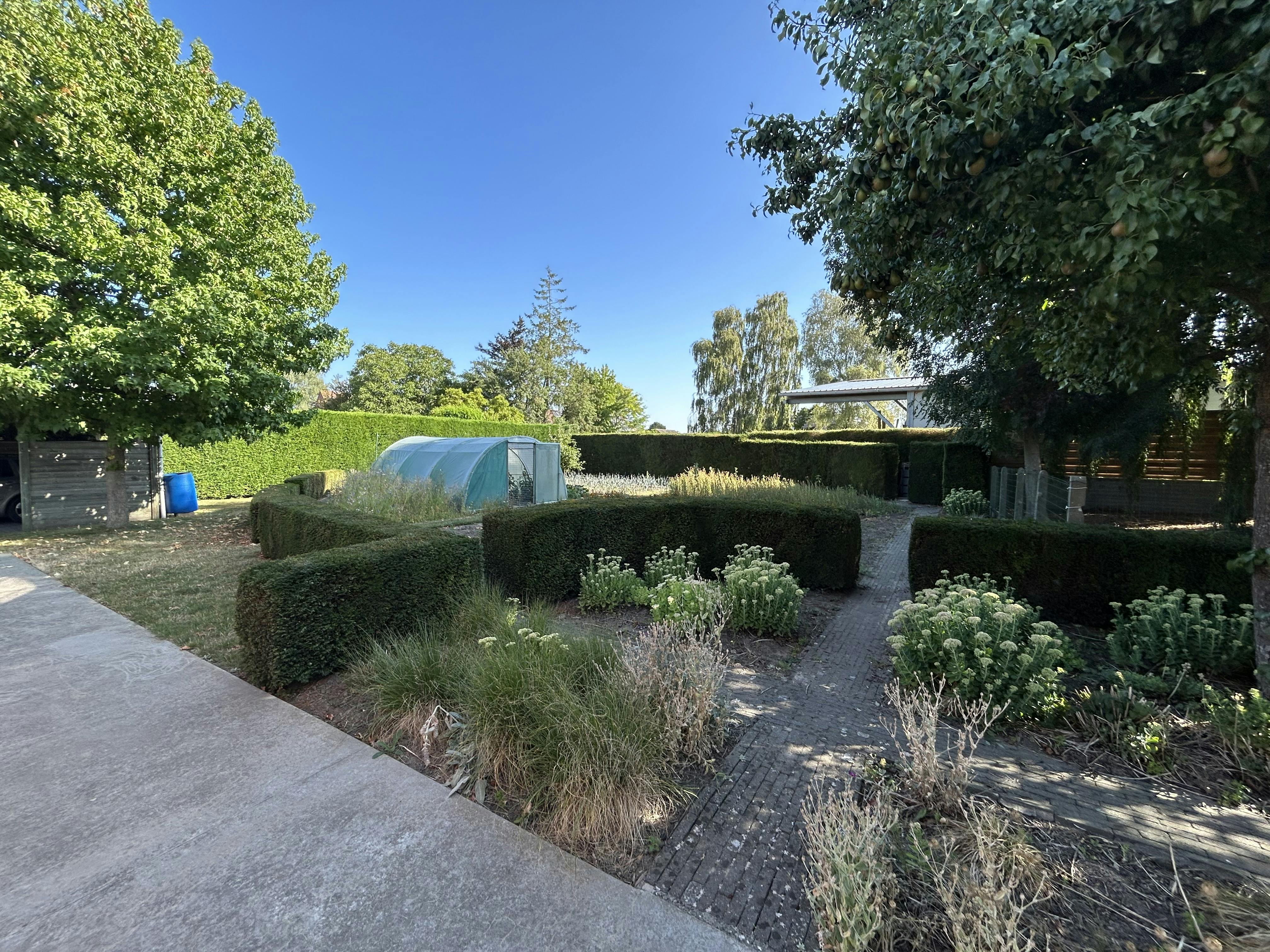 Bouwgrond van 554 m² met uitweg, garage en carport foto 3