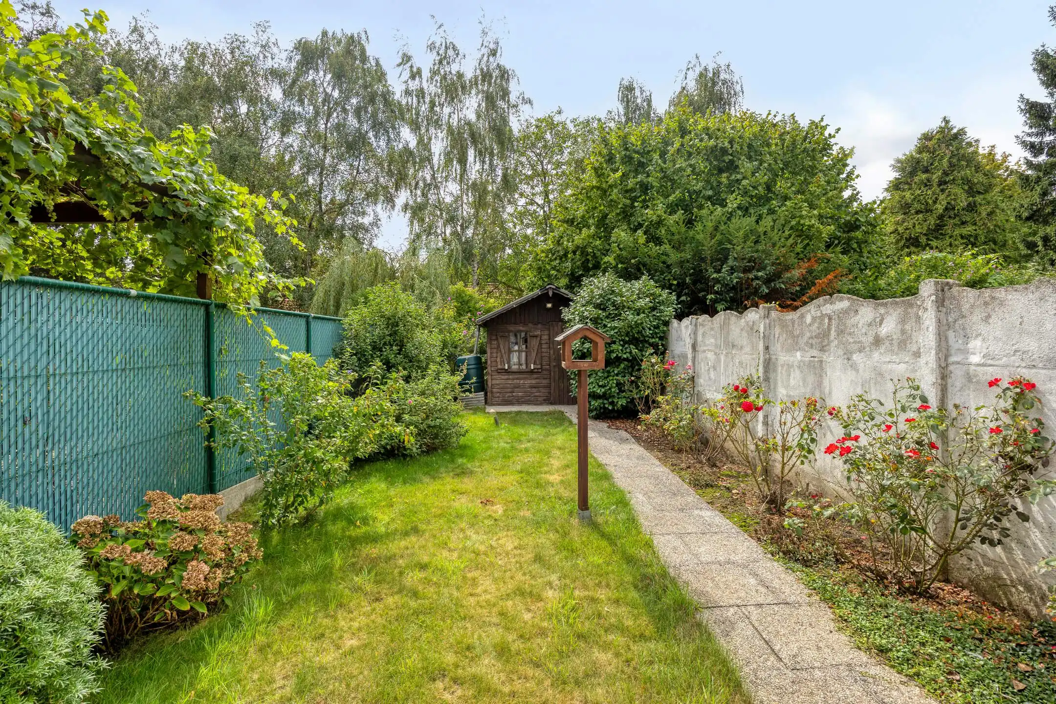 Huis met 3 kamers en zonnige tuin te koop in Vilvoorde foto 5