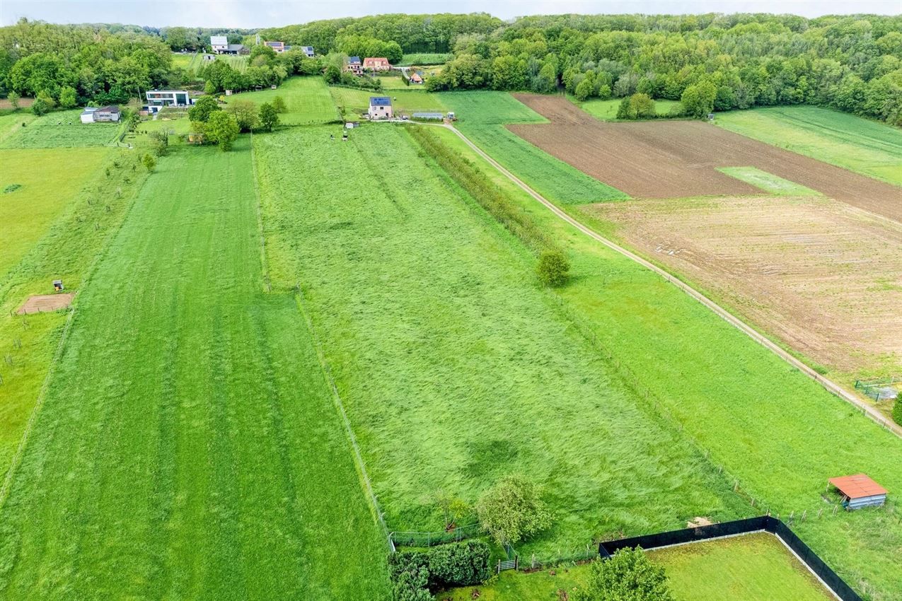 Droomwoning met ruimte en mogelijkheden foto 33