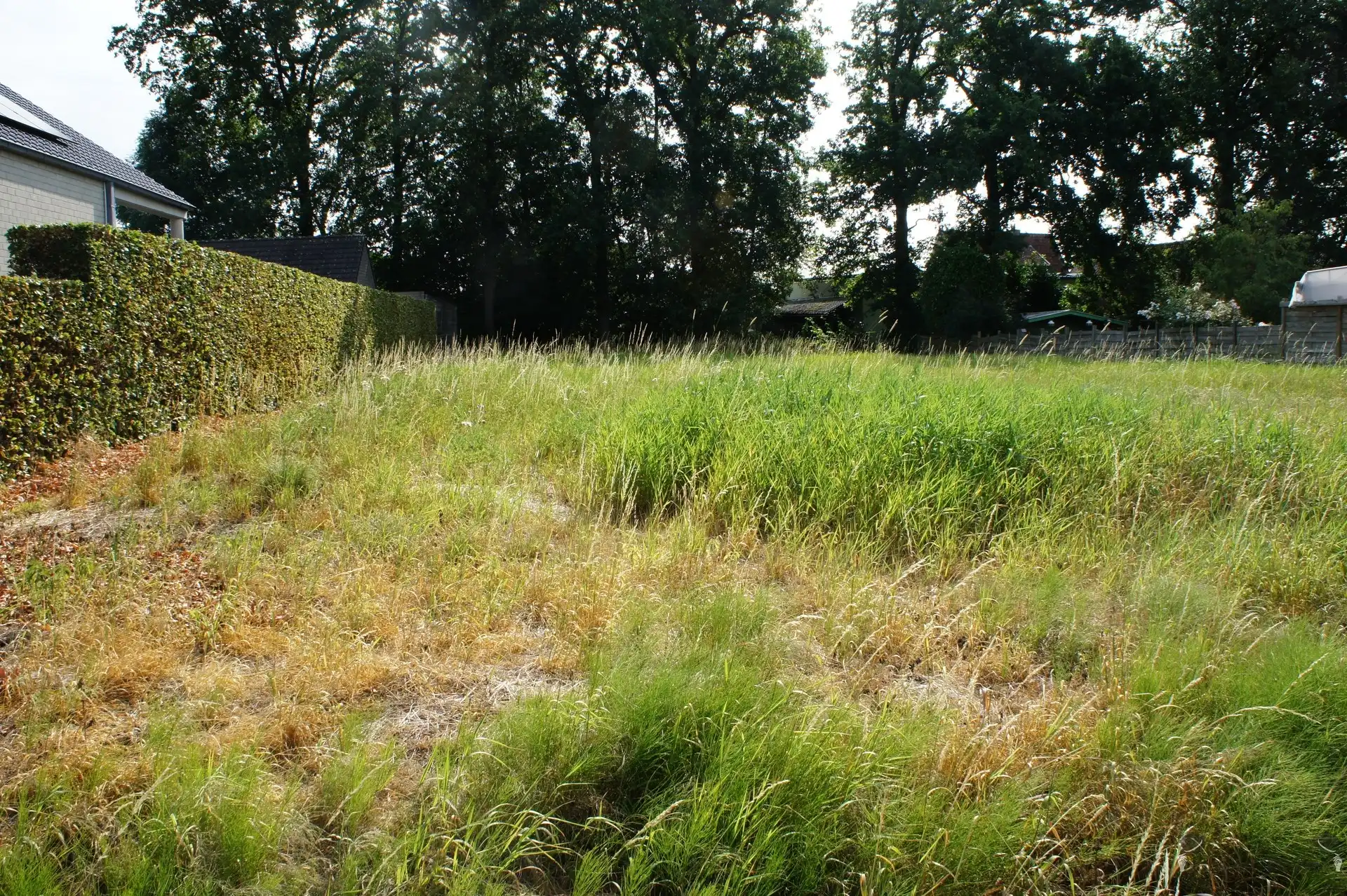 Bouwgrond van 771 m² voor open bebouwing te Oostmalle. foto 3