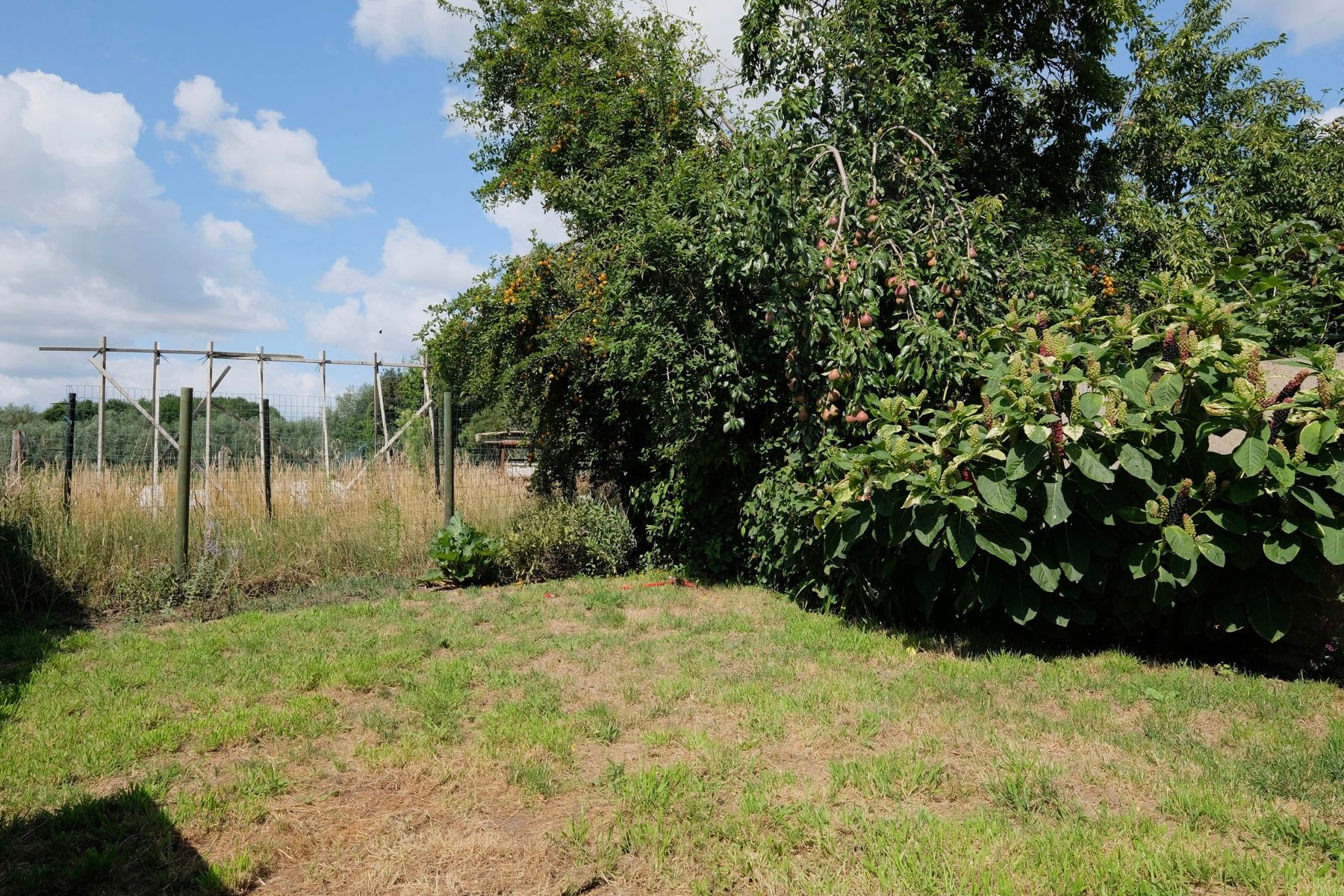 Charmante gezinswoning met tuin op landelijke locatie foto 2
