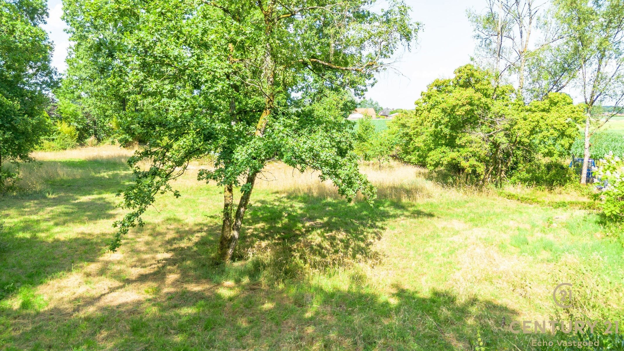 Volledig te renoveren vakantiechalet op een royaal perceel foto 18