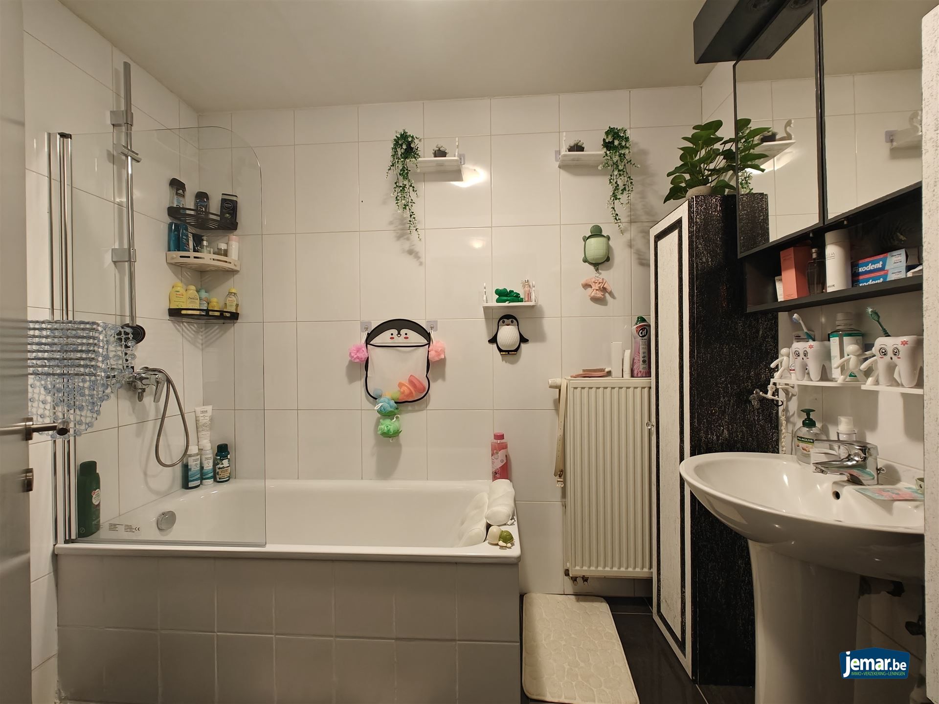 éénslaapkamerappertement met parking + berging in de kelder  foto 8