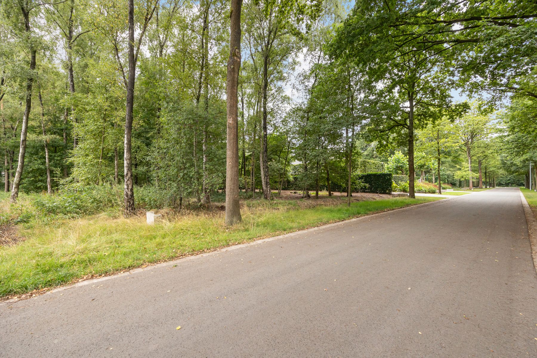 Een perceel bouwgrond voor open bebouwing van 6.132m² in een residentiële omgeving.  foto 5