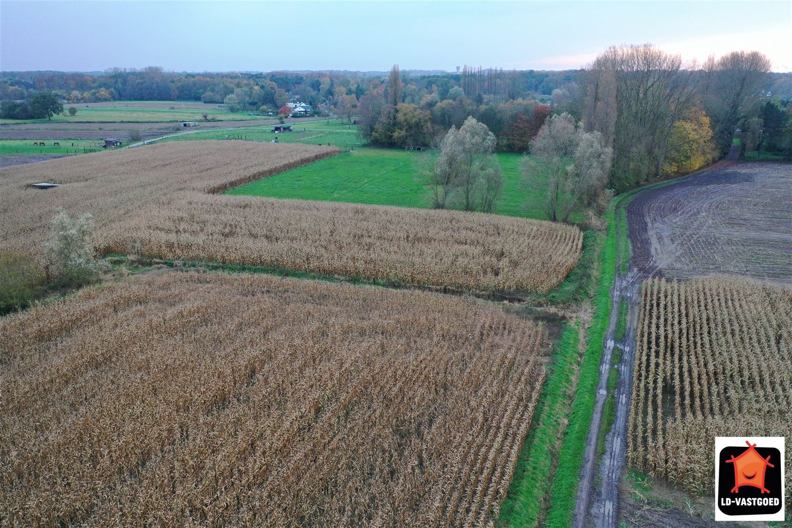 Goed gelegen landbouwgrond foto 6