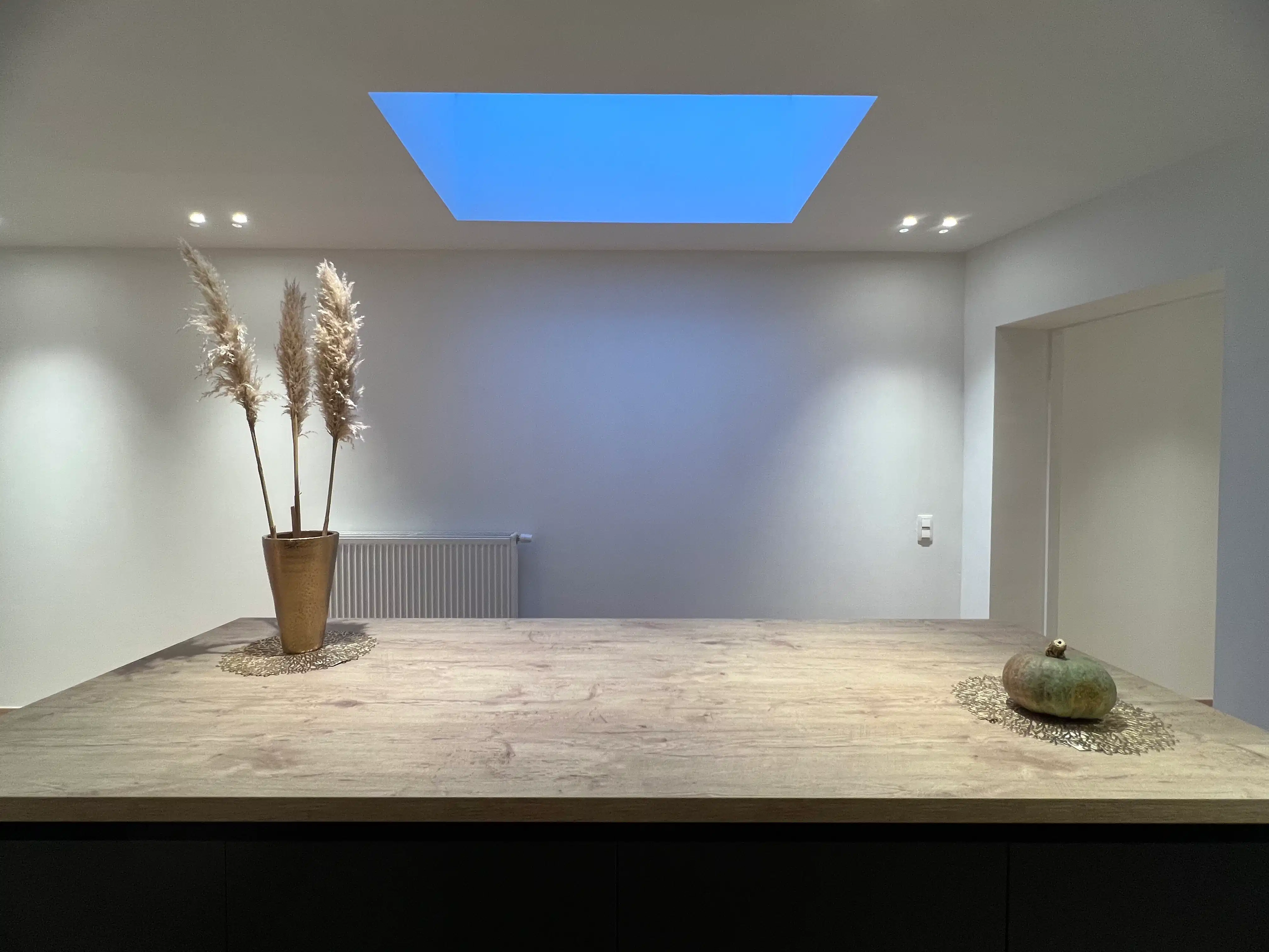 Instapklare, volledig gerenoveerde woning met 3 slaapkamers en tuin met groen zicht – EPC A foto 6