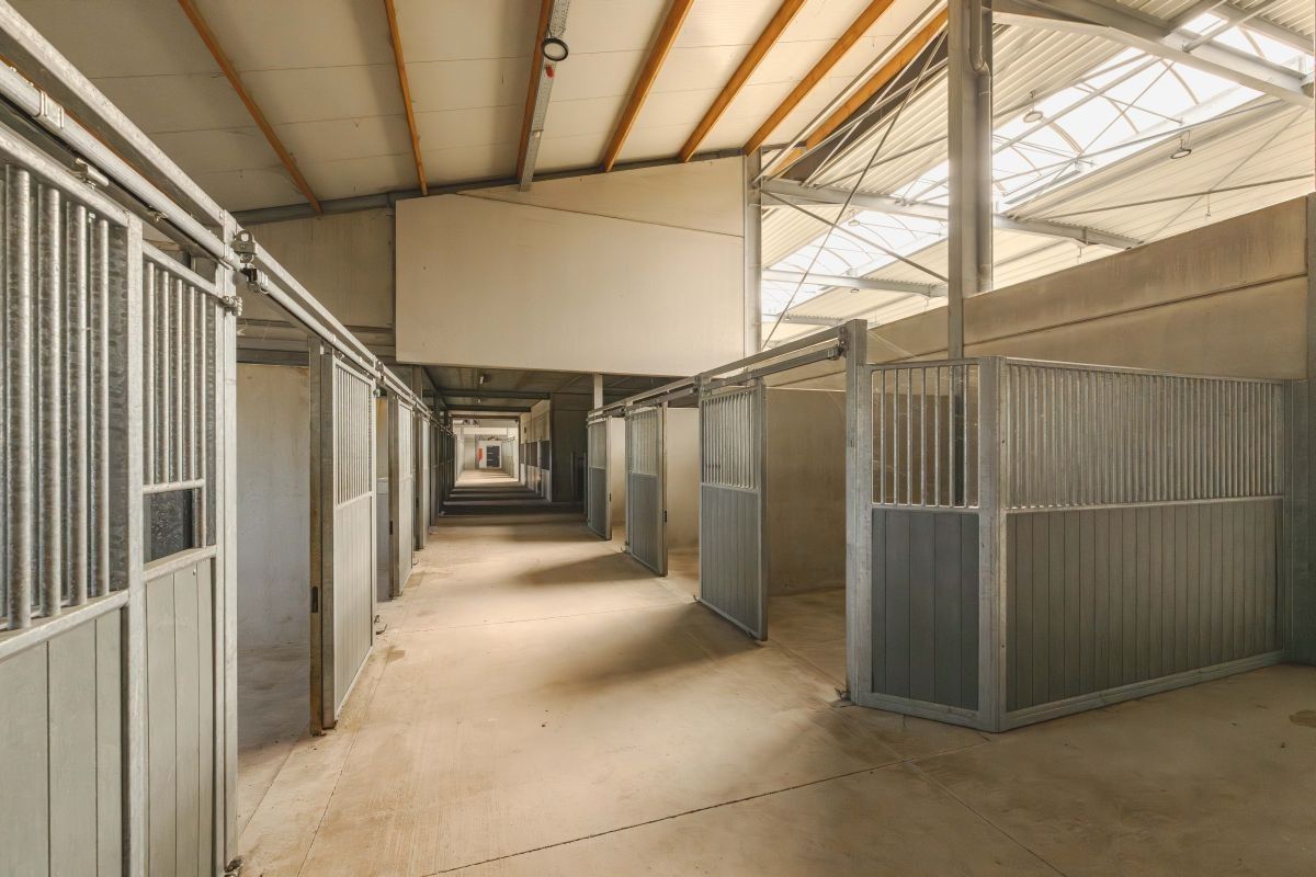 Hippisch complex te koop te Oudenburg dicht bij de kust foto 12