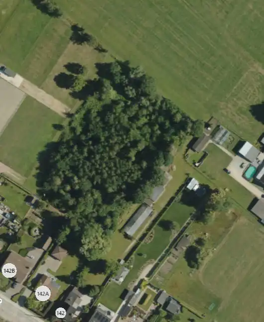 Rustig gelegen perceel bebost landbouwgrond te Schriek foto 4