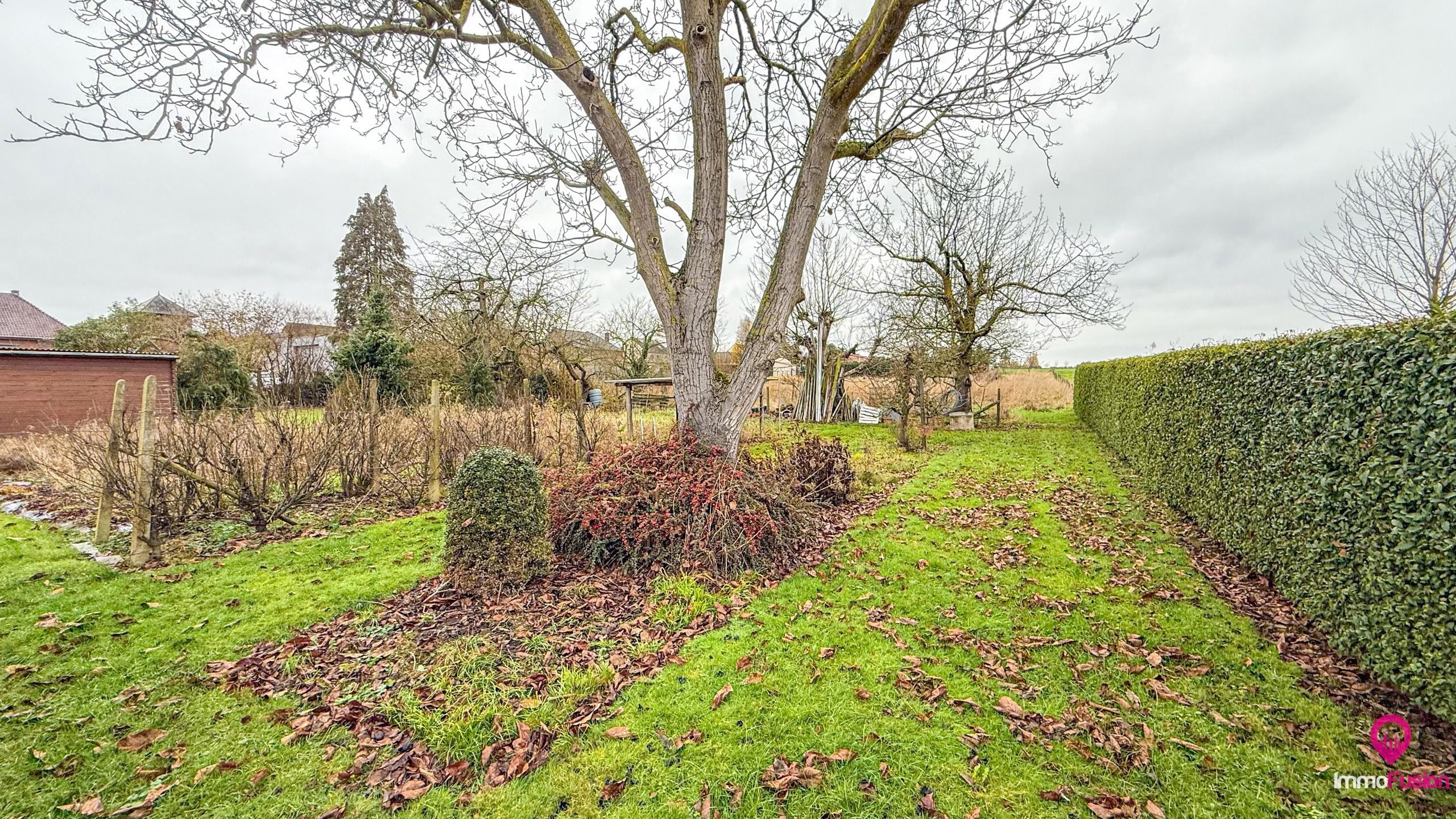 Bungalow met grote werkplaats en weide op 42 are in Alken foto 35